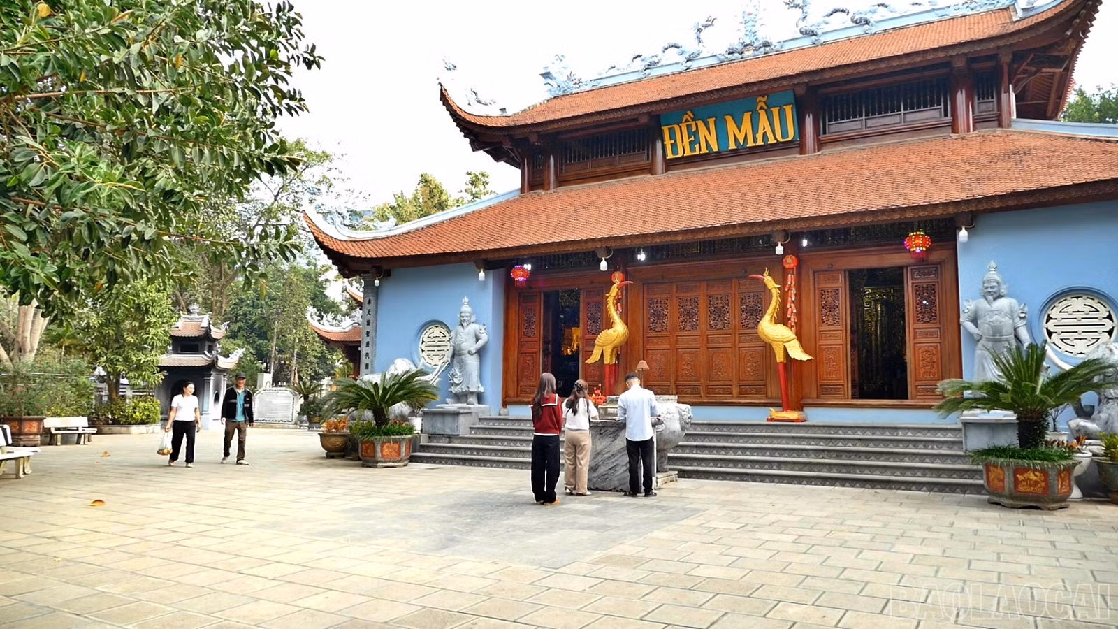 baolaocai-br_mau1.jpg