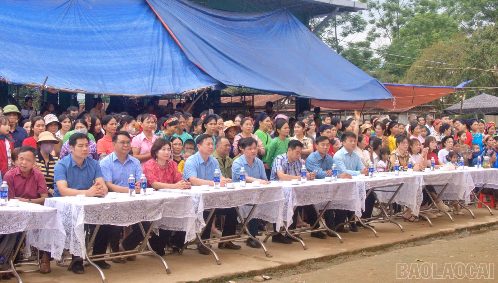baolaocai-br_dai-bieu.jpg