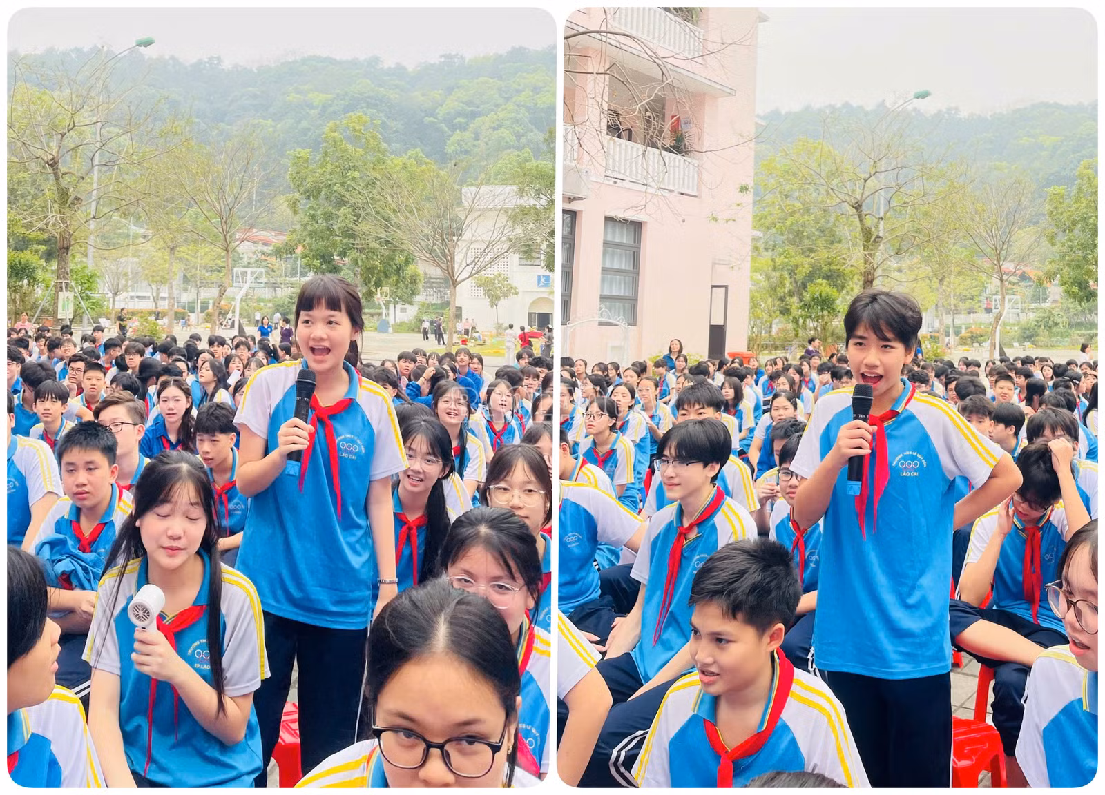baolaocai-c_don5.jpg