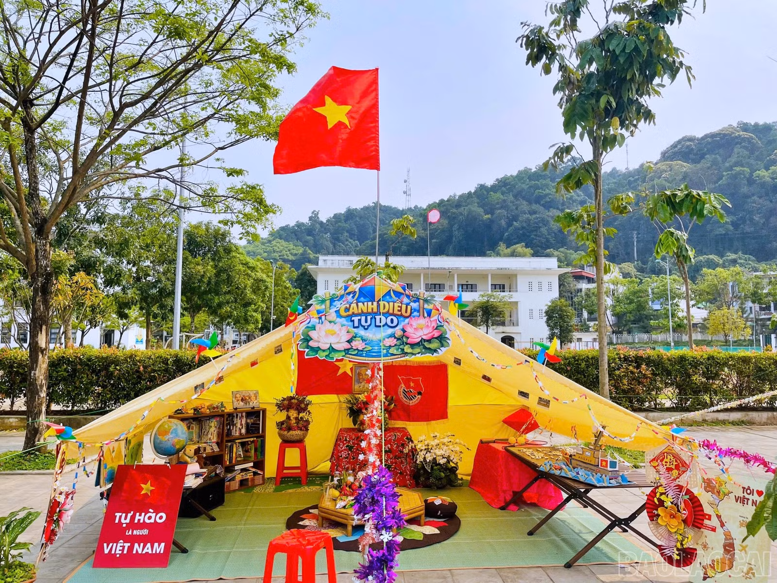 baolaocai-br_don92.jpg