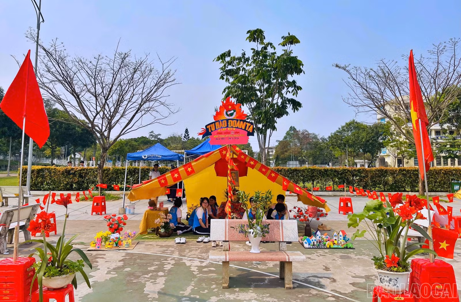 baolaocai-br_don91.jpg