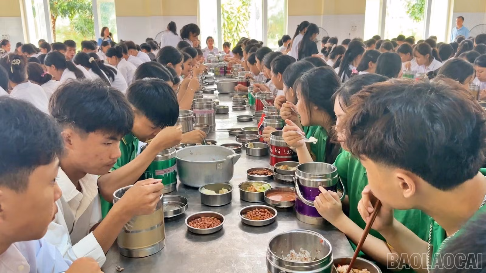 baolaocai-br_noi90.jpg
