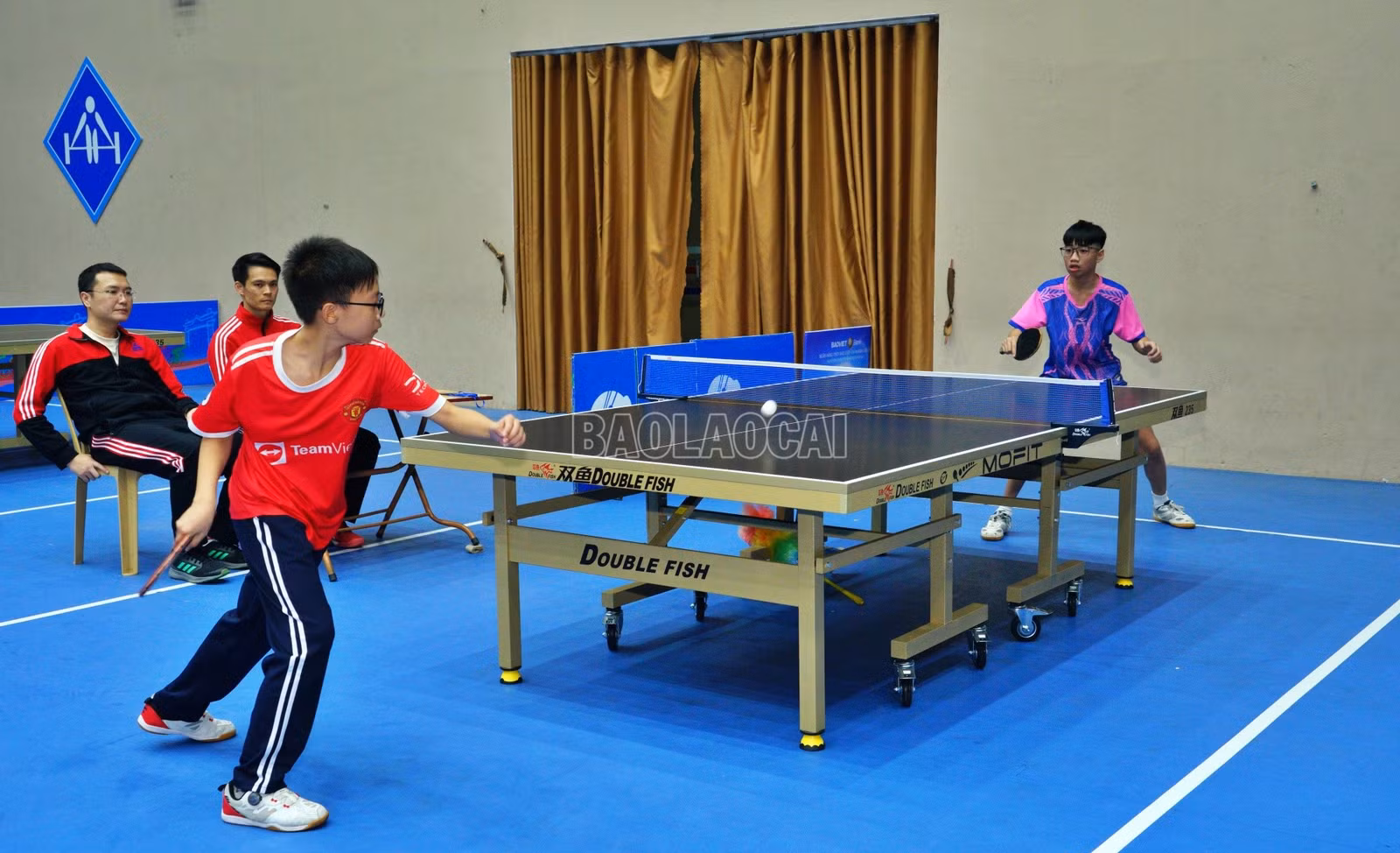 baolaocai-c_kmbb8.jpg