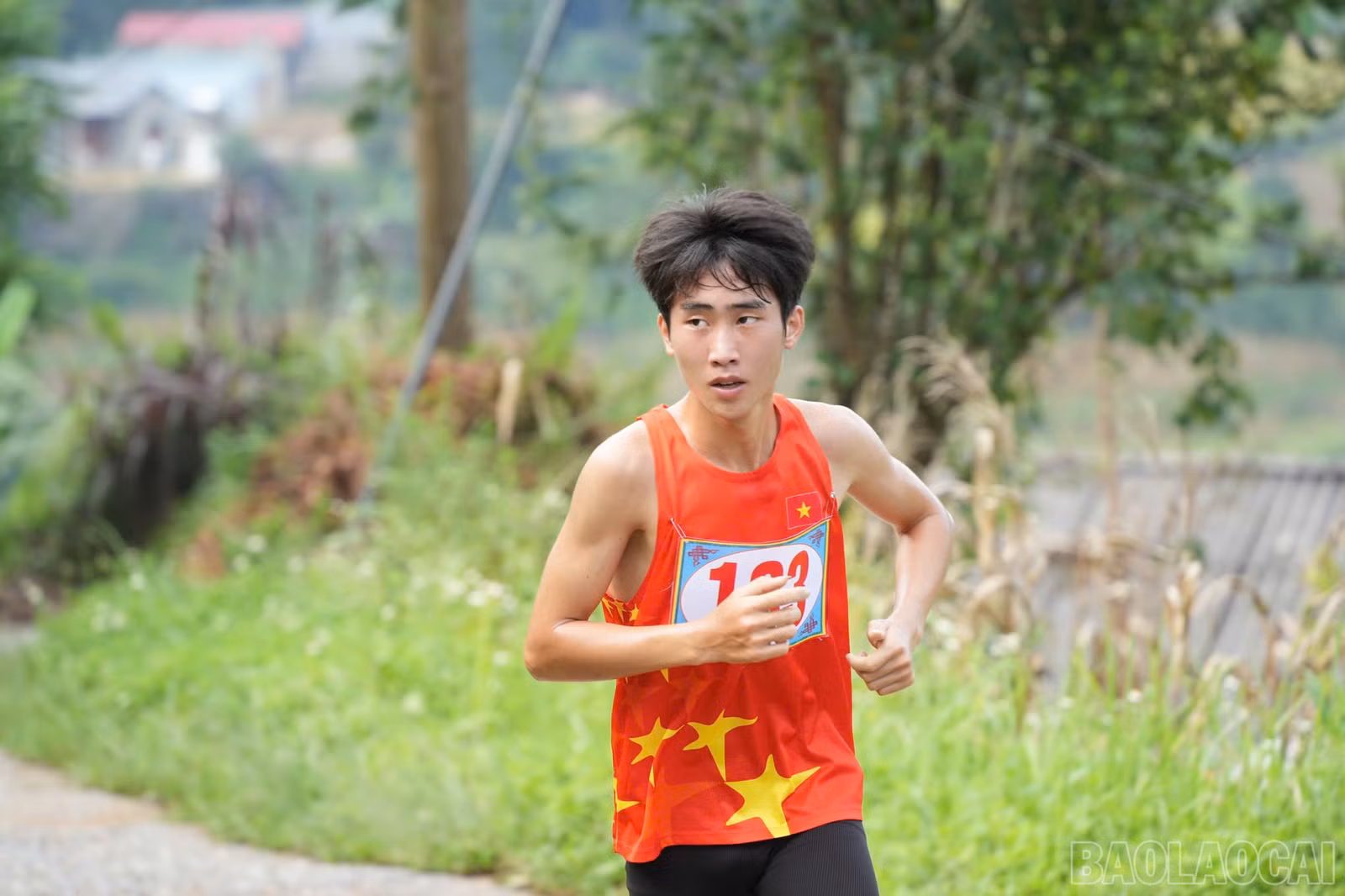 baolaocai-br_chaychay-6.jpg