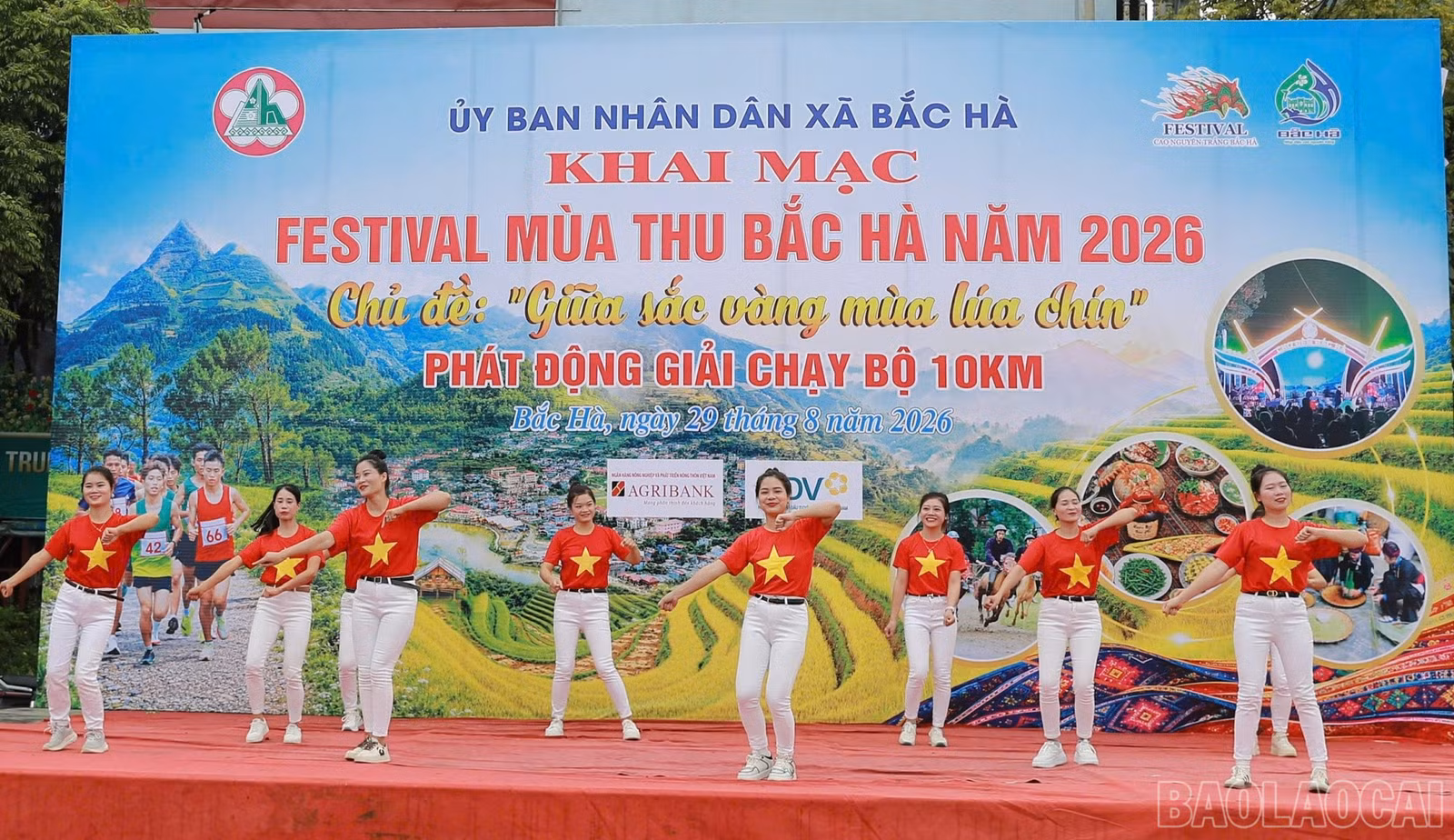 baolaocai-br_km7.jpg