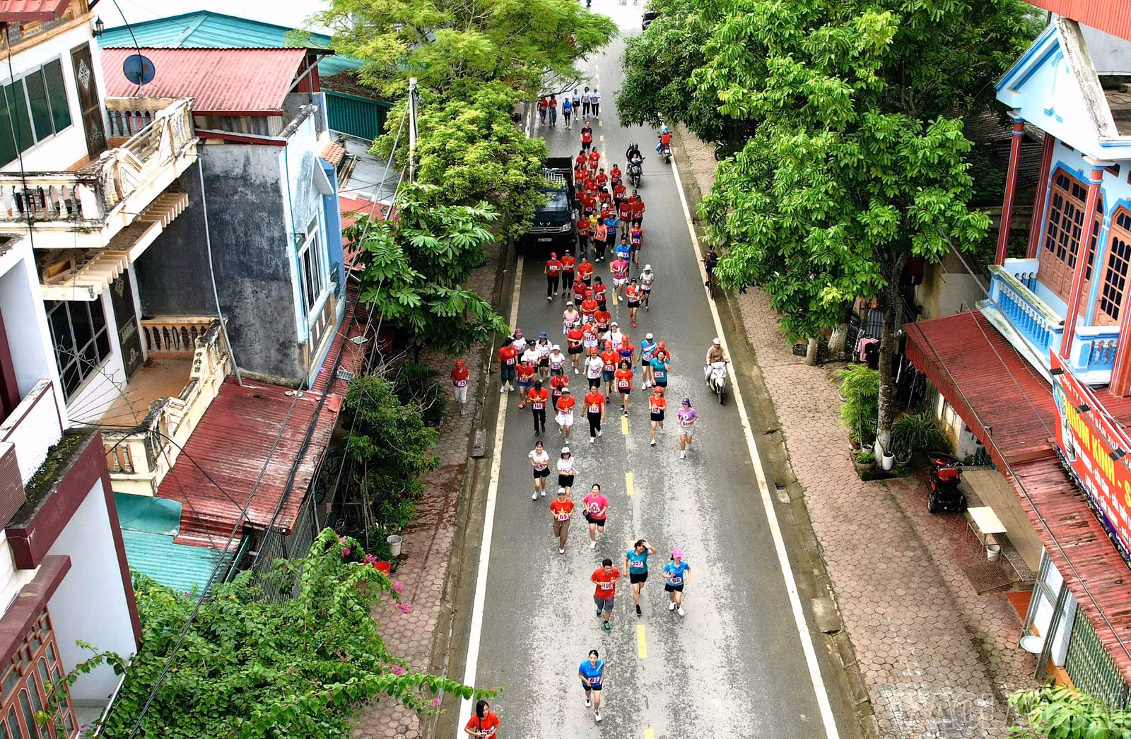 baolaocai-br_chy-1.jpg