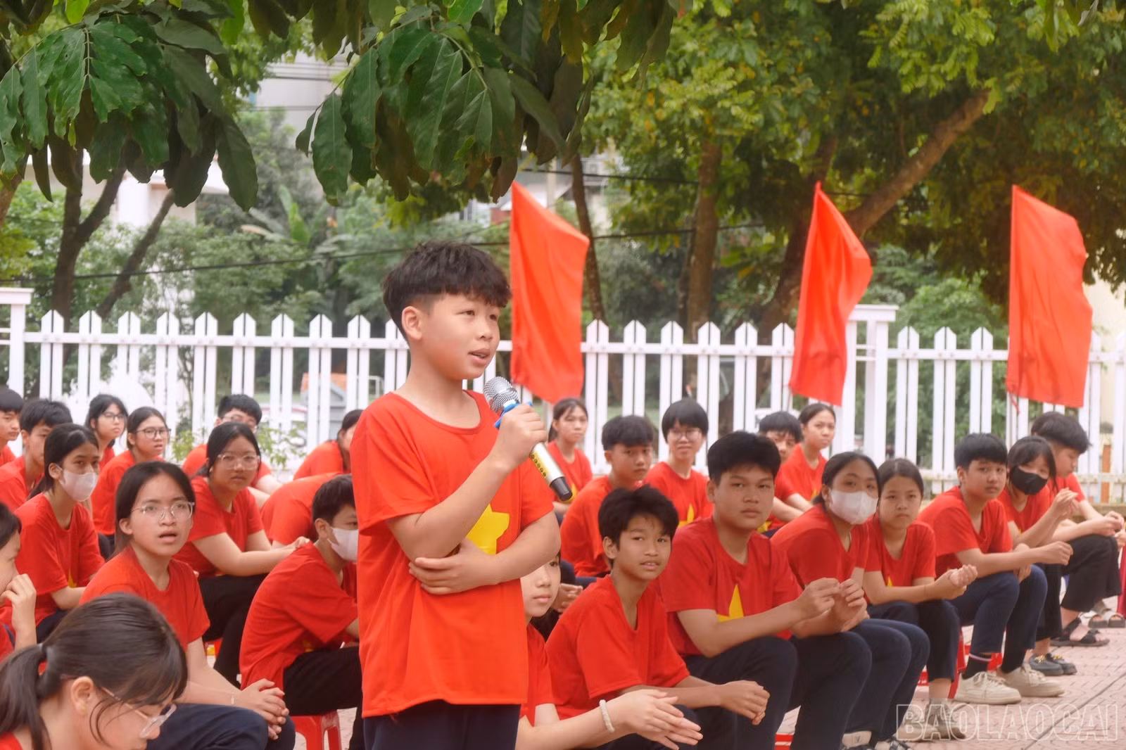 baolaocai-br_thi7.jpg