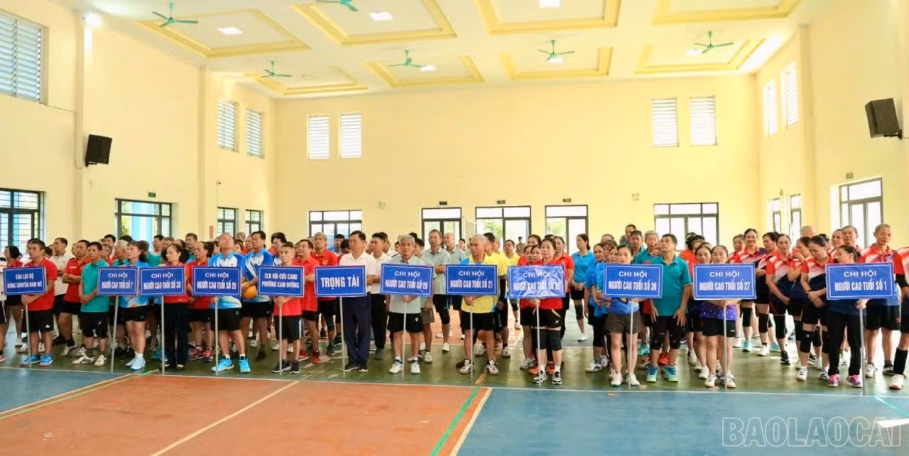 16 đội bóng tham dự giải.