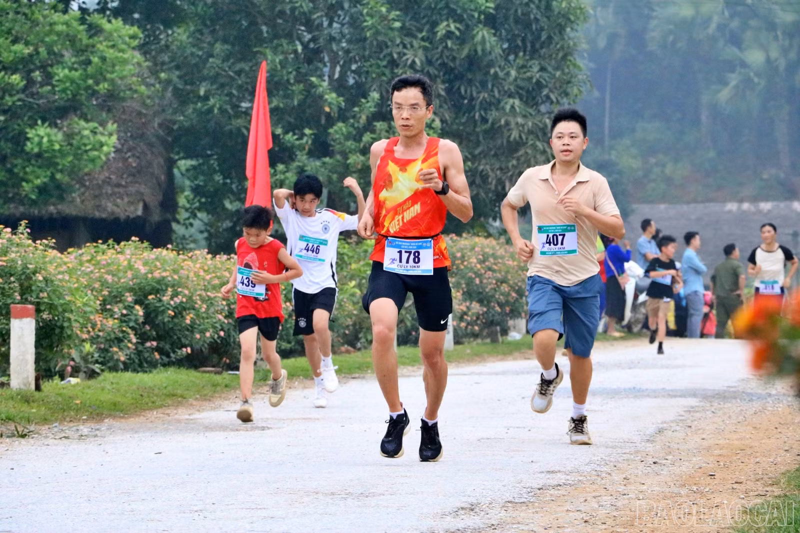 baolaocai-br_chay93.jpg