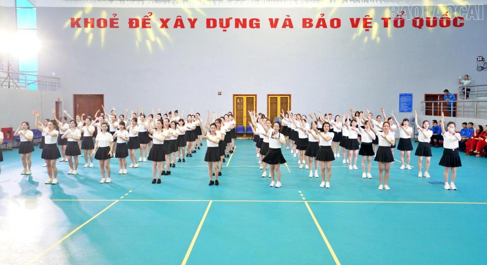 ap5.JPG