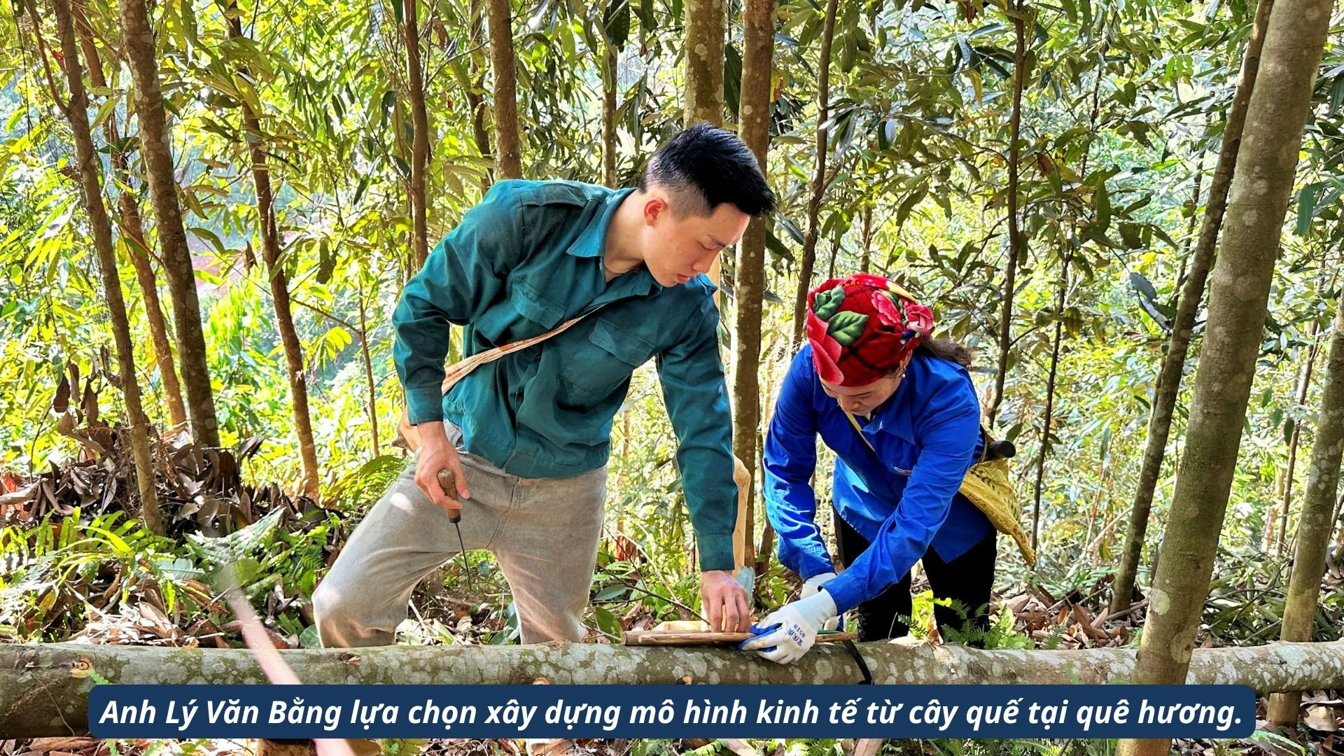 thanh-lai-5.jpg