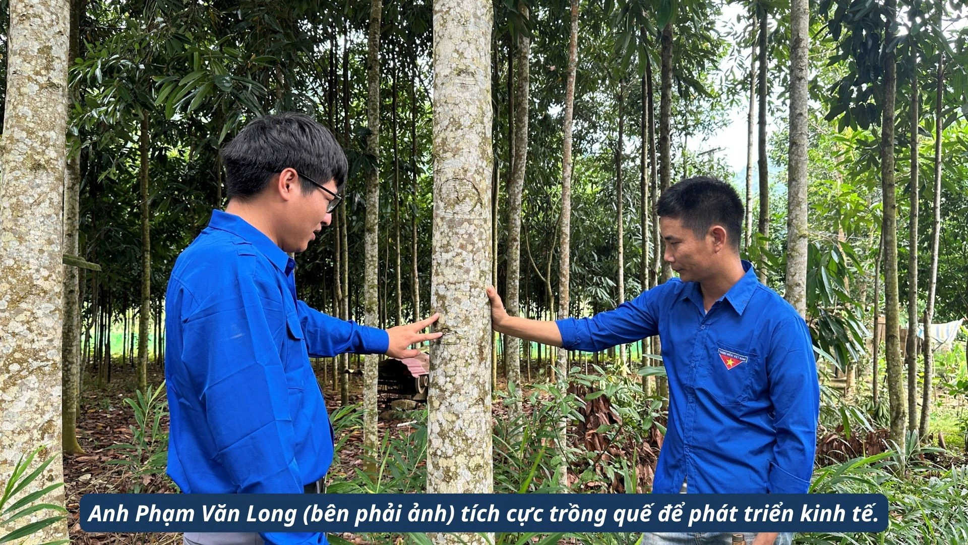 thanh-lai-4.jpg