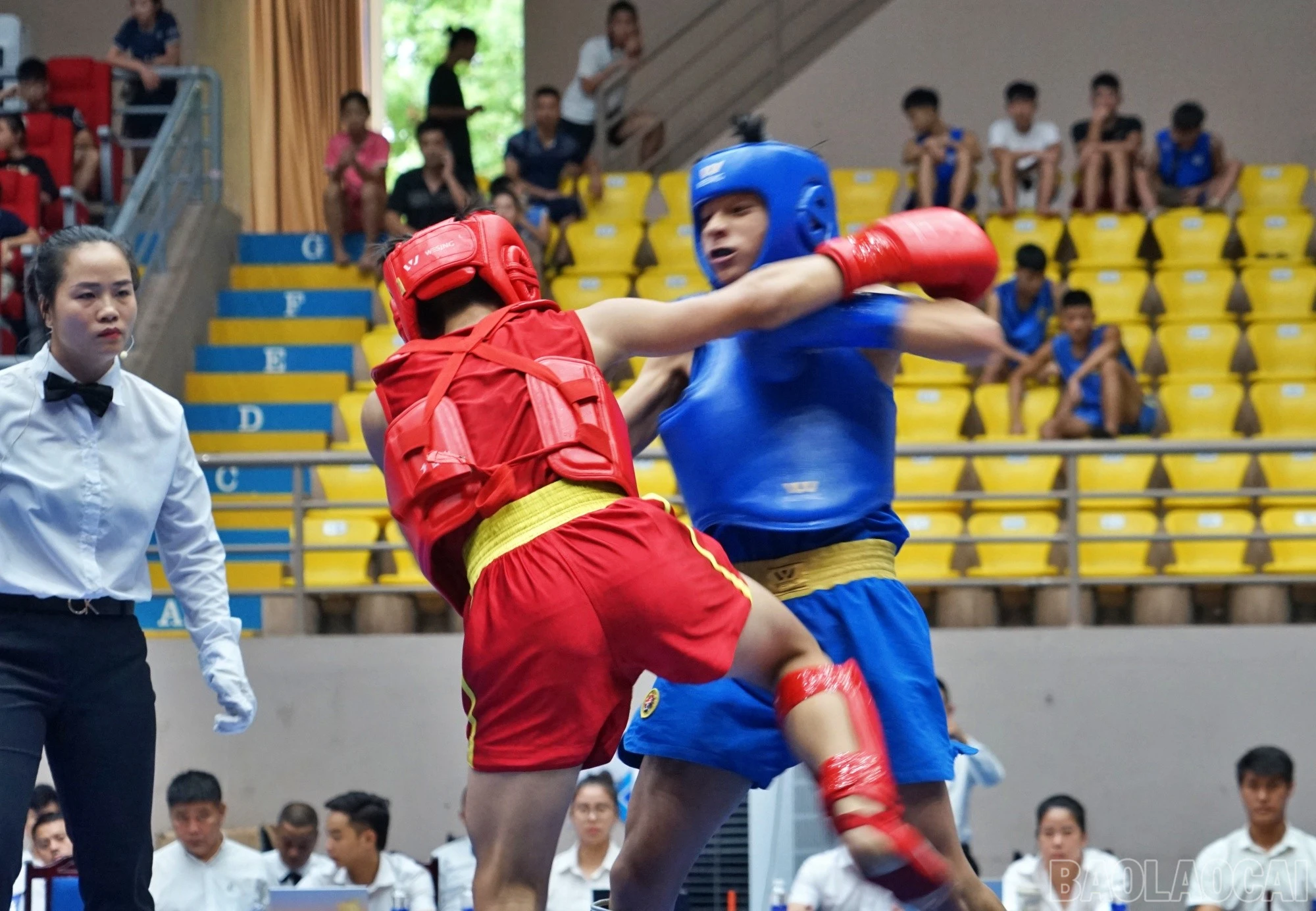 baolaocai-br_shu1.jpg