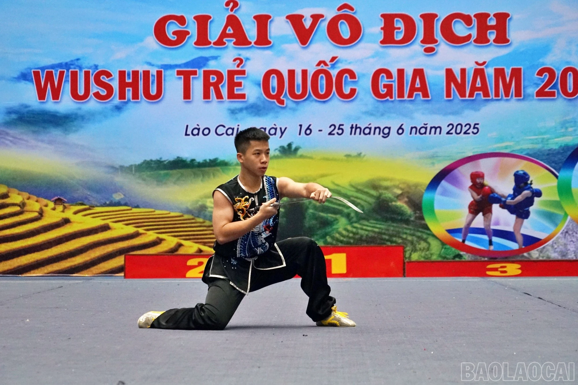 baolaocai-br_ng61.jpg