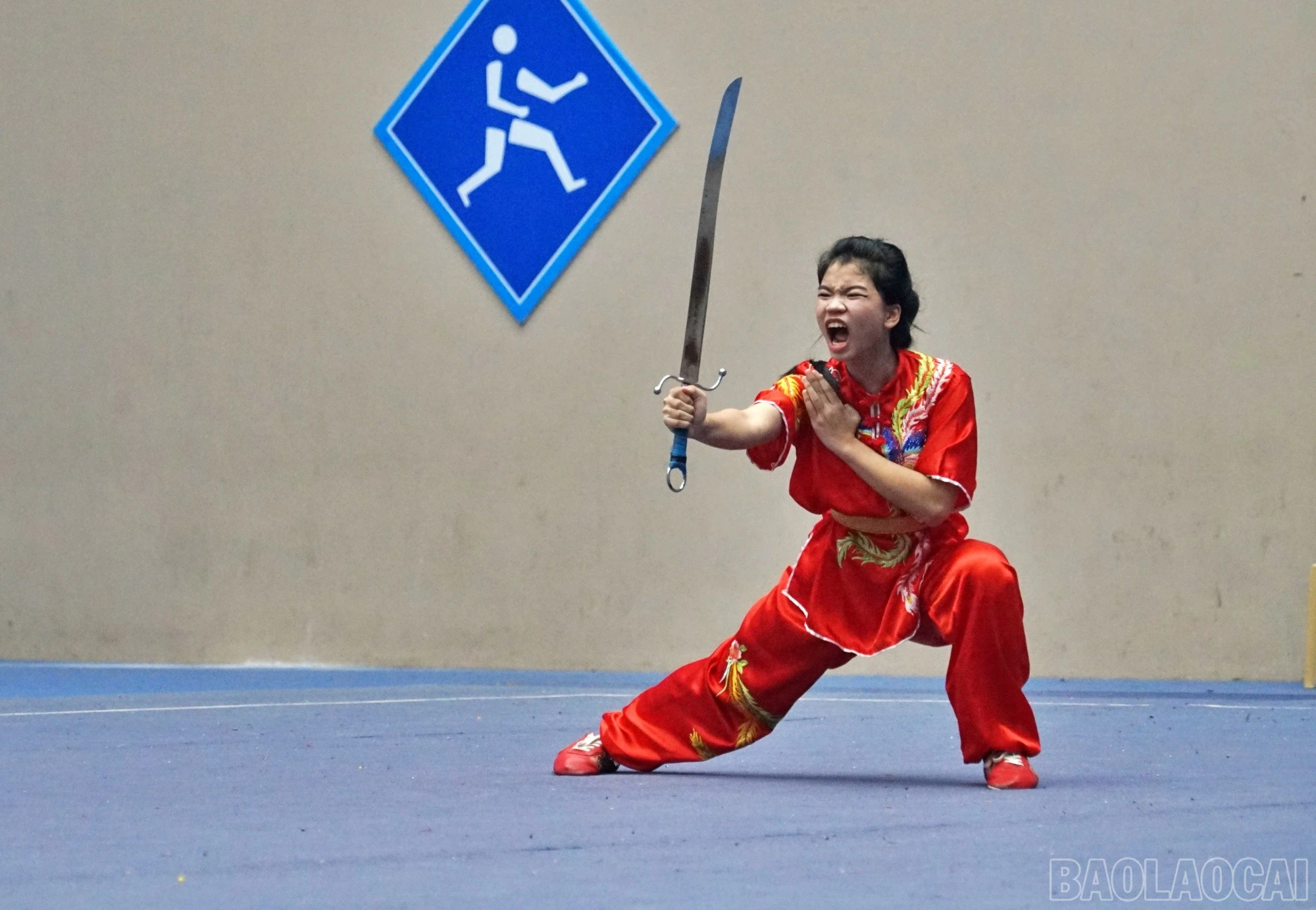 baolaocai-br_ng65.jpg