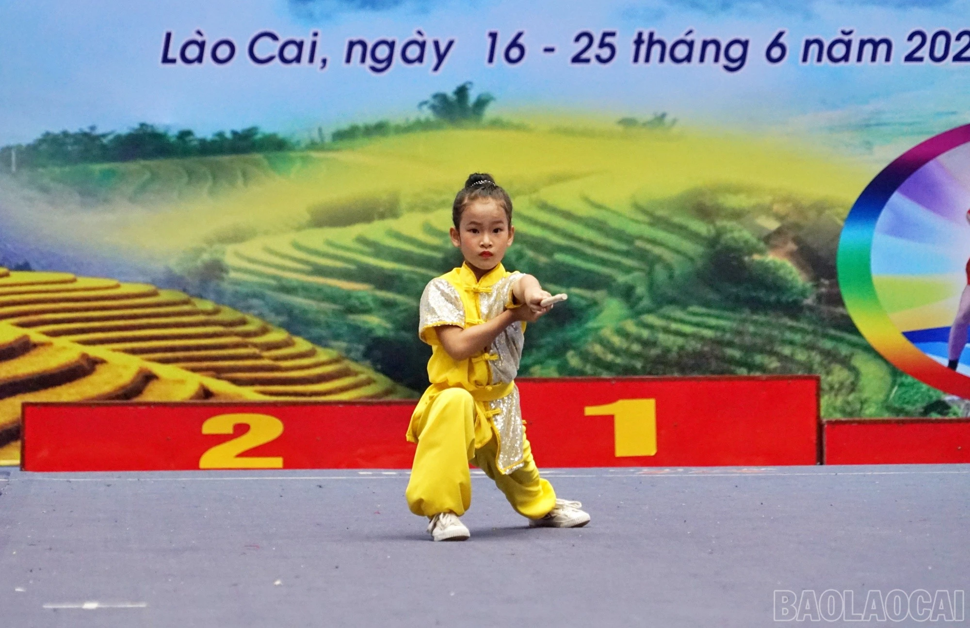 baolaocai-br_shu90.jpg