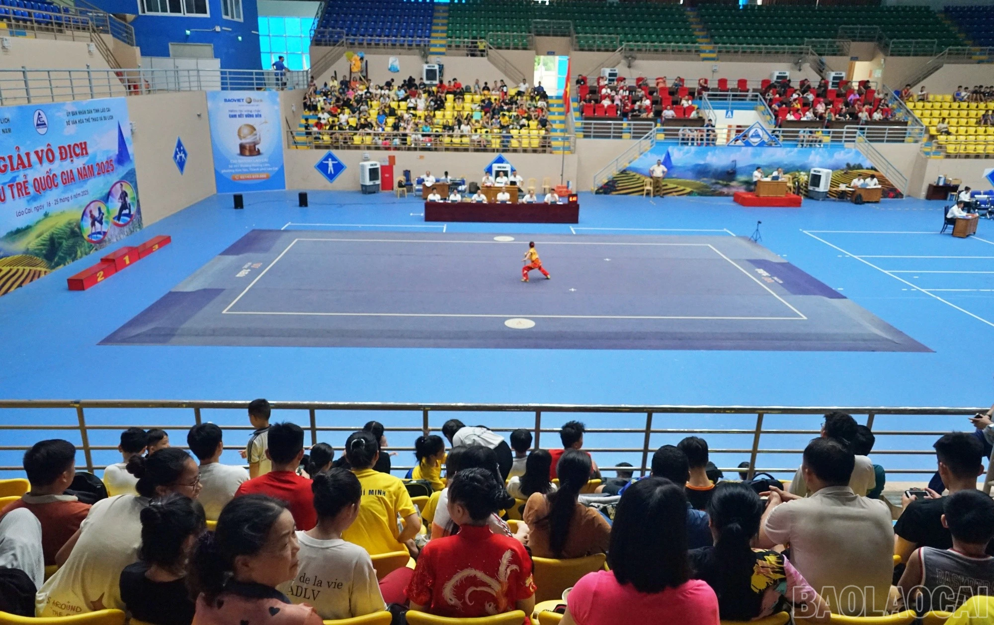 baolaocai-br_shu88.jpg