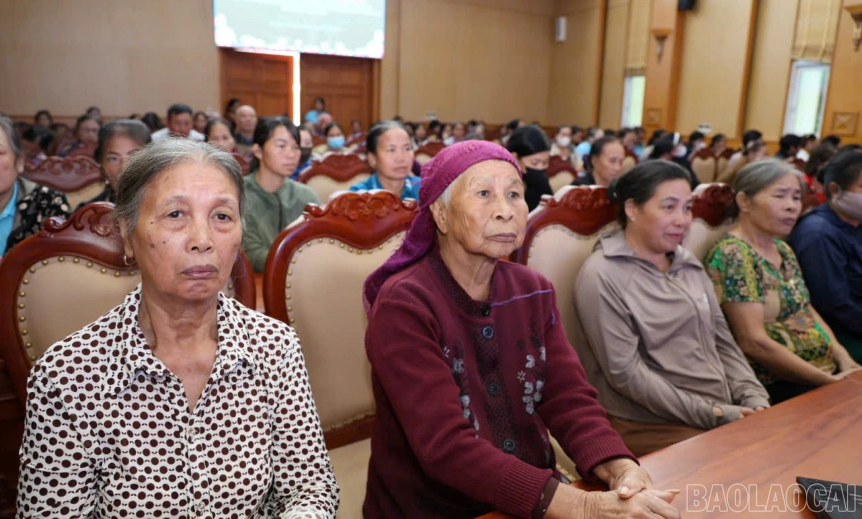 baolaocai-br_hpncd2.jpg