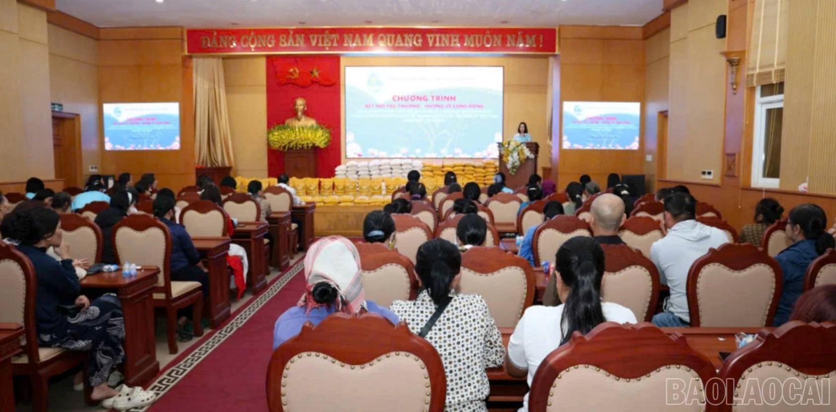 baolaocai-br_hpncd3.jpg