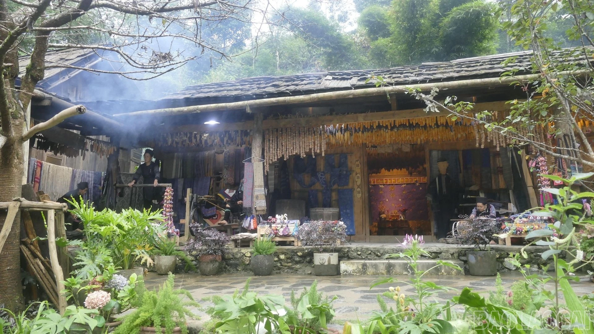 baolaocai-br_mong-5.jpg