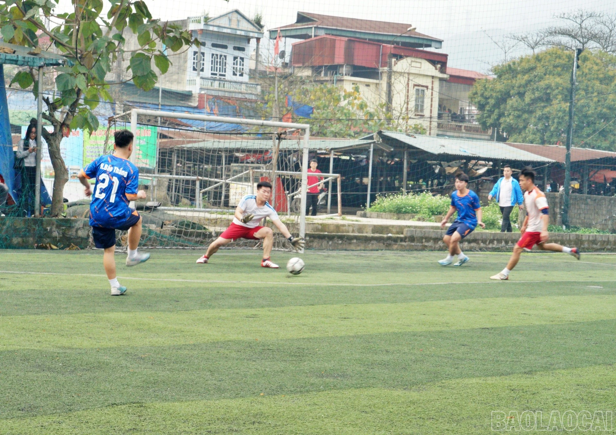baolaocai-br_14bd5.jpg