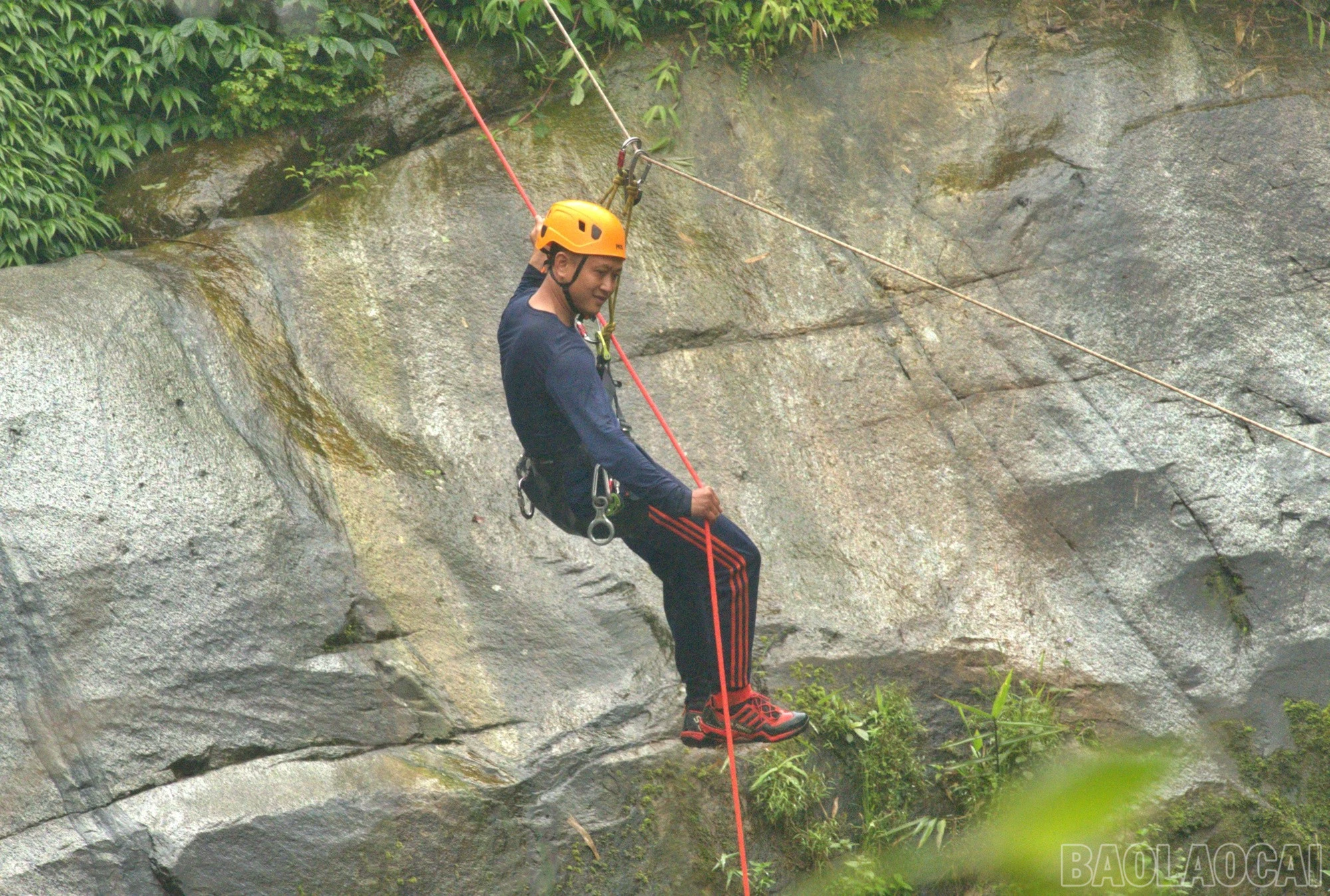 baolaocai-br_mao2.jpg