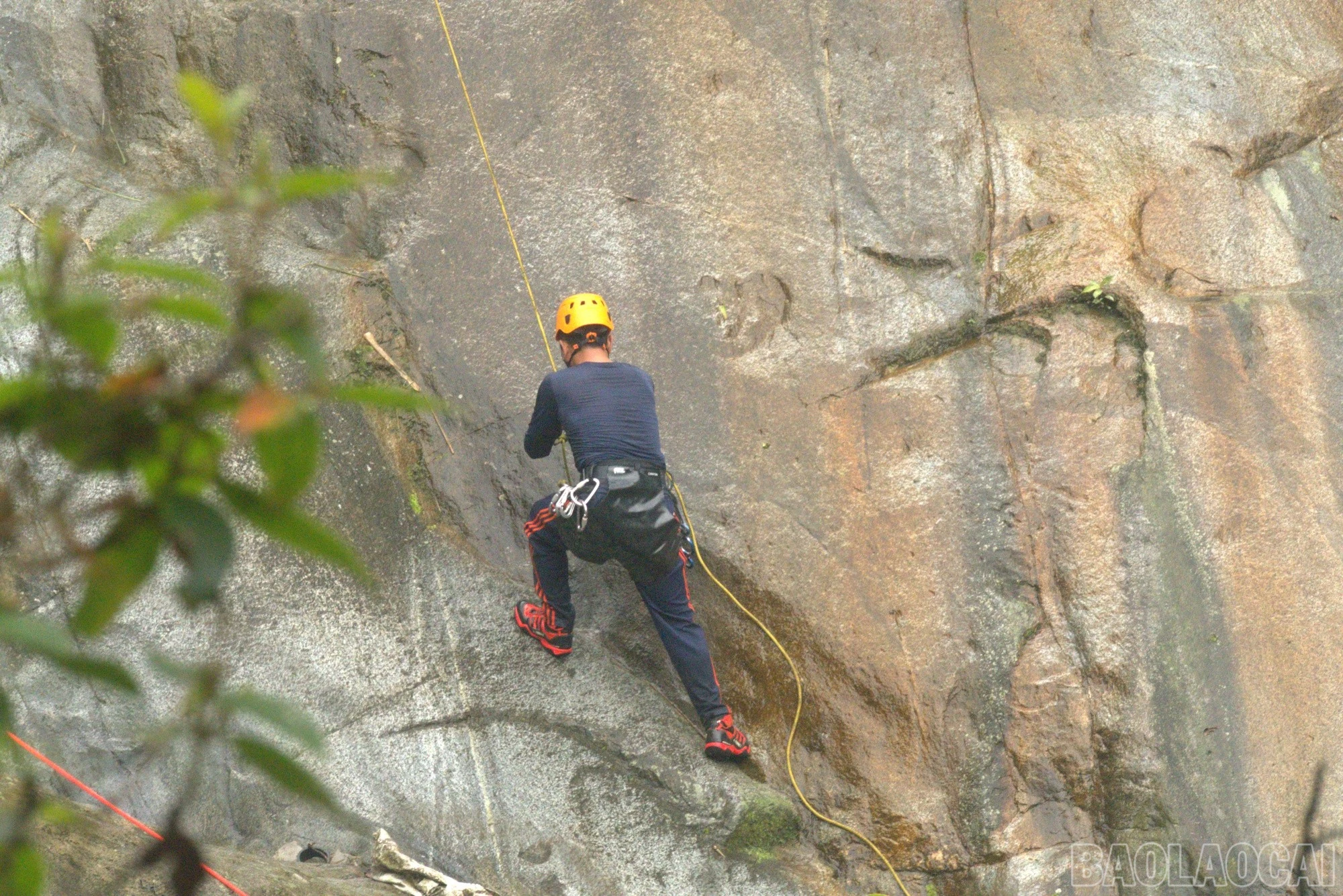 baolaocai-br_len.jpg