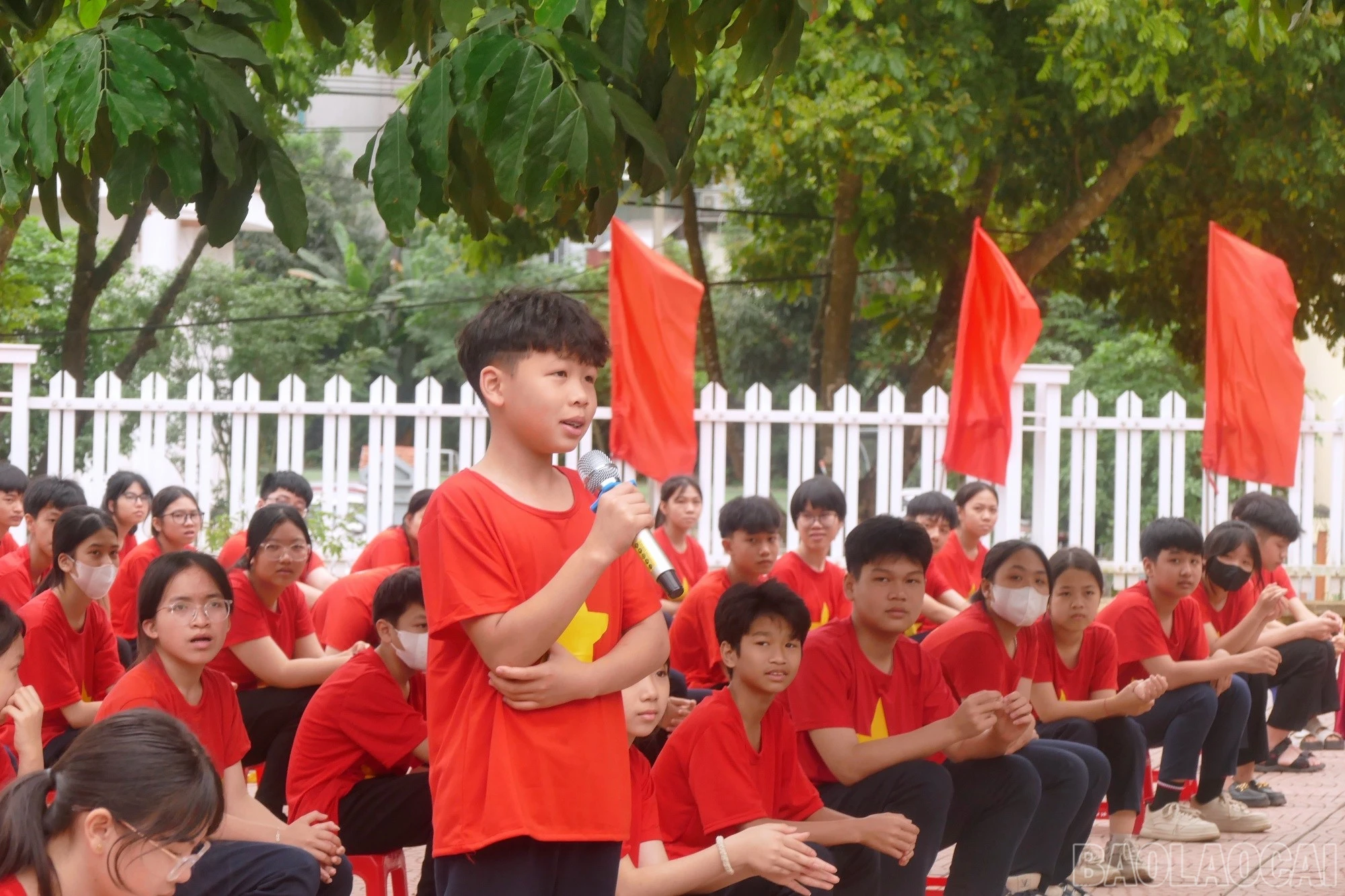 baolaocai-br_thi7.jpg