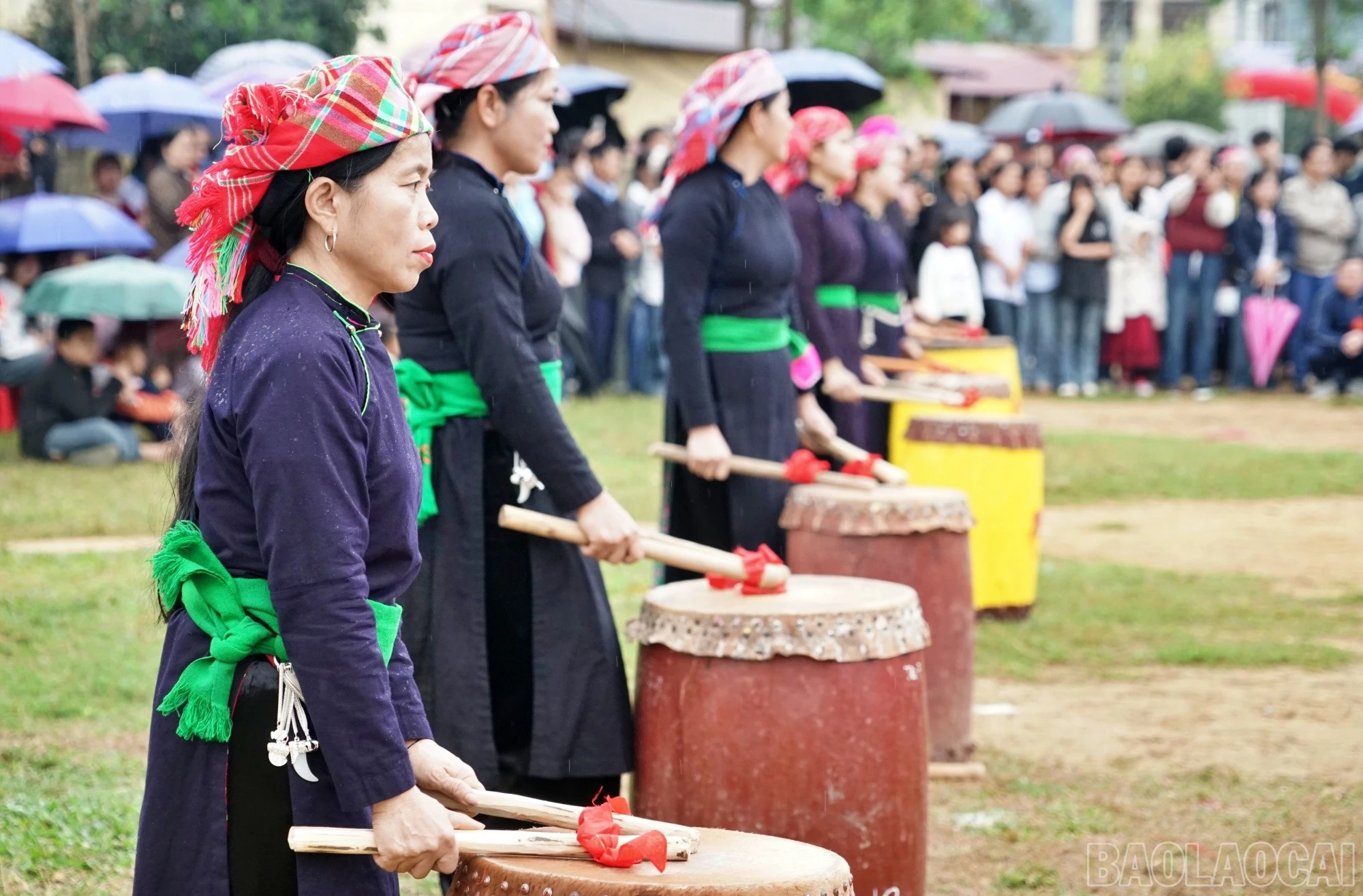 baolaocai-br_trong93.jpg