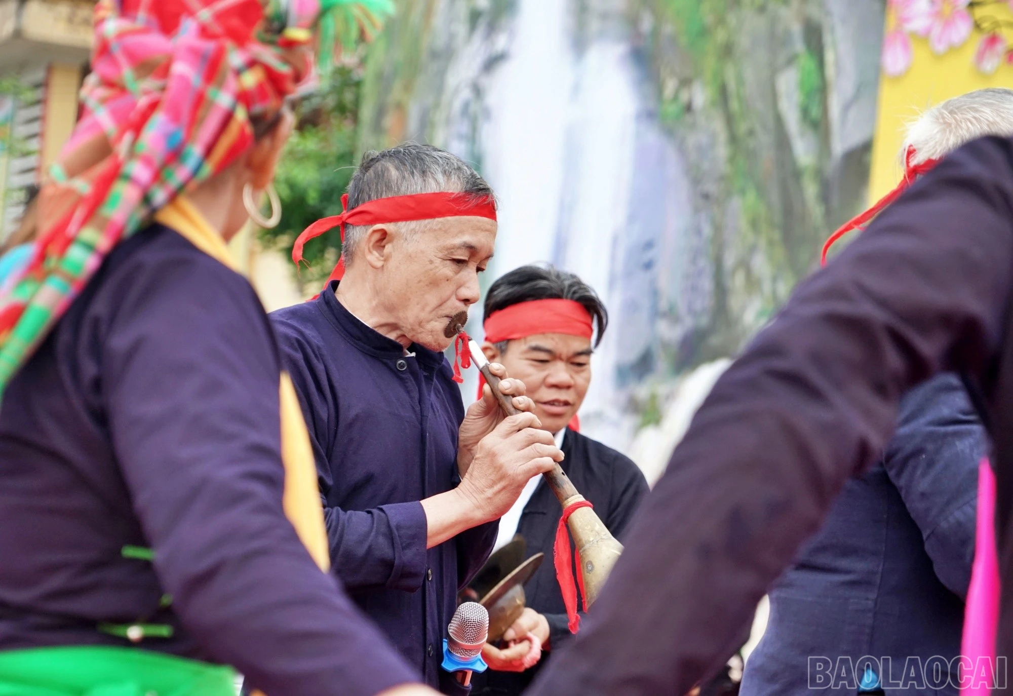 baolaocai-br_trong991.jpg