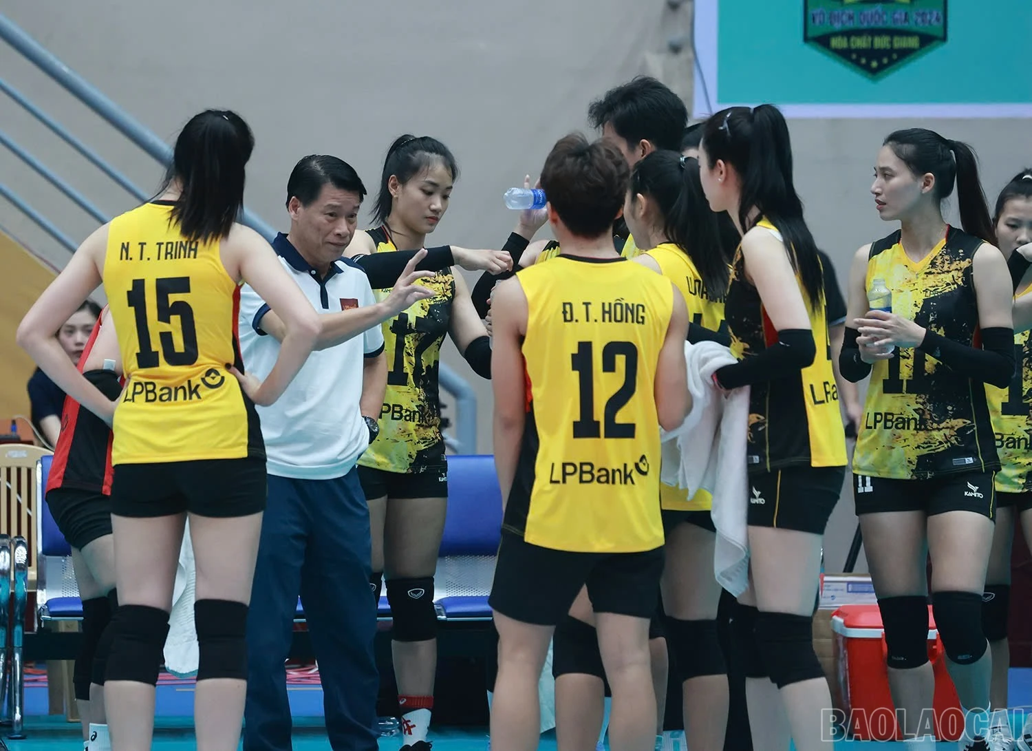 baolaocai-br_z6009437286451-976339a07bec54ecd5ff3be1412d6c9b.jpg