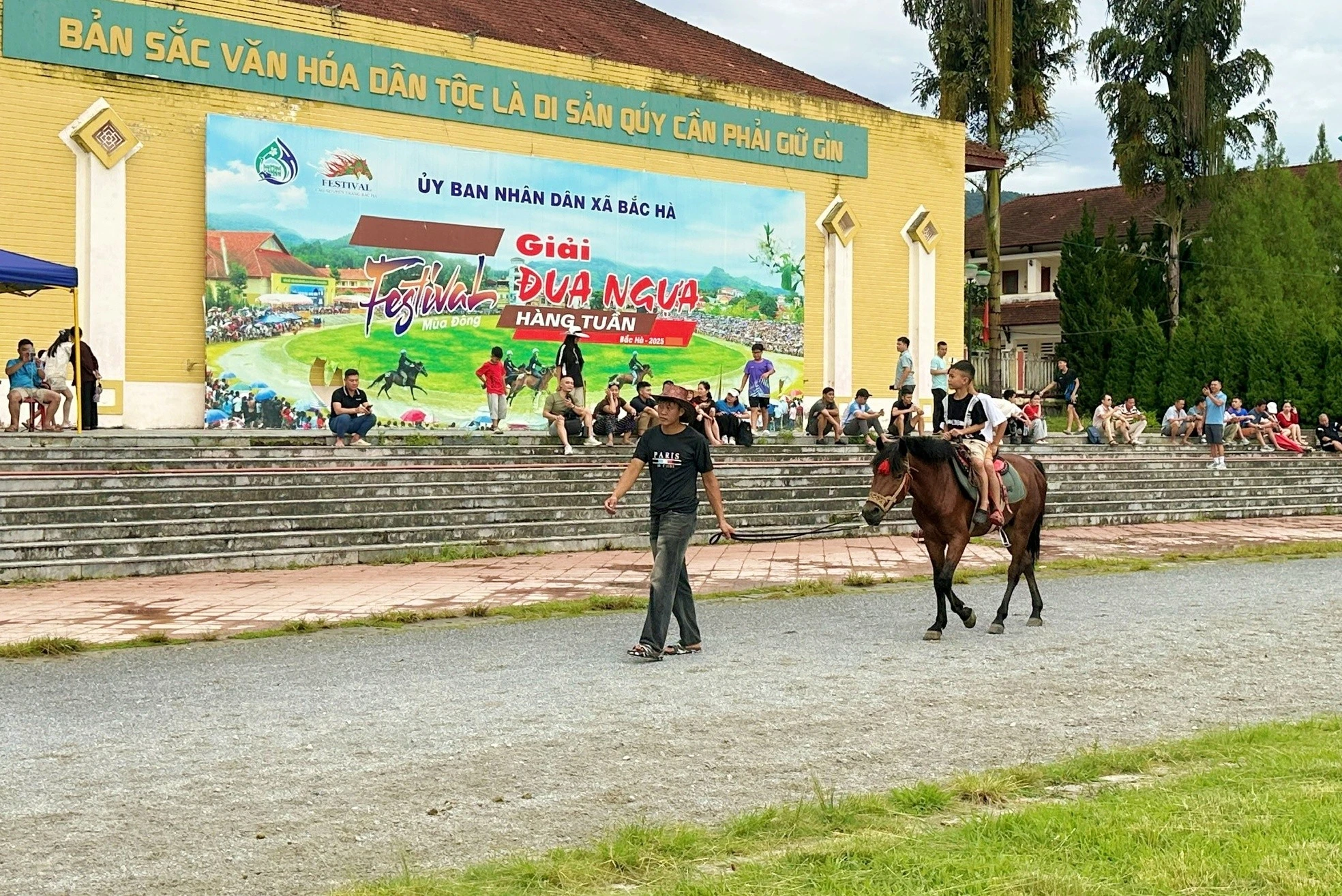 ngua-2178.jpg