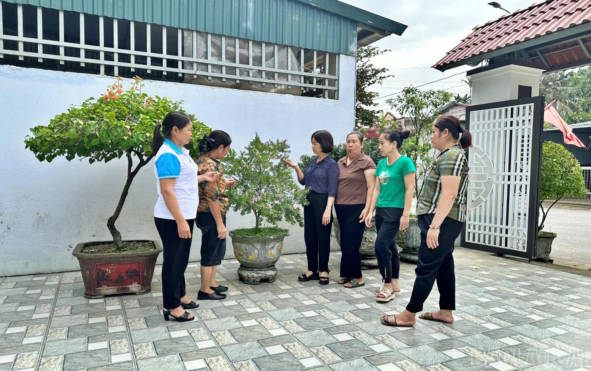 baolaocai-br_phuong2.jpg
