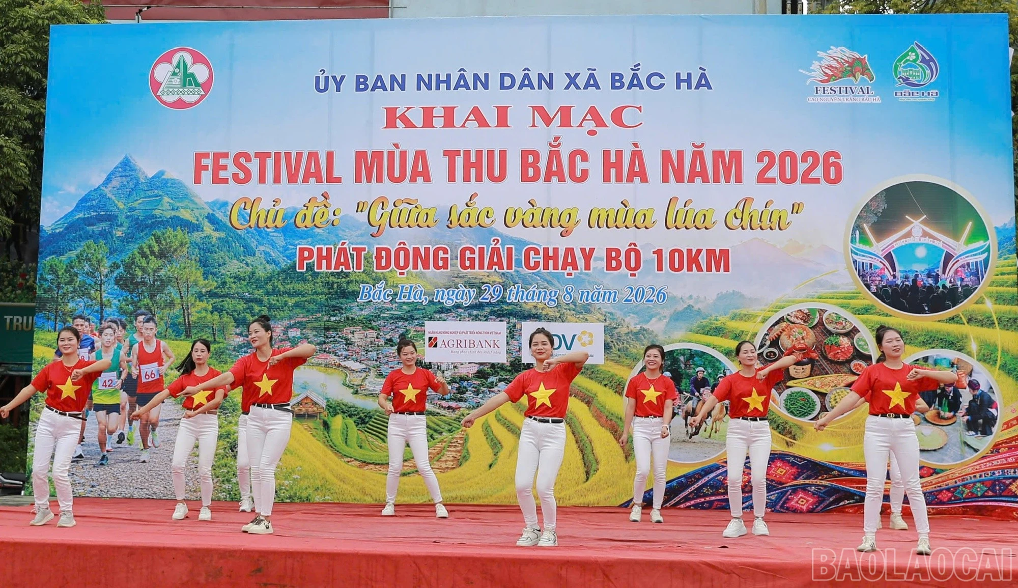 baolaocai-br_km7.jpg