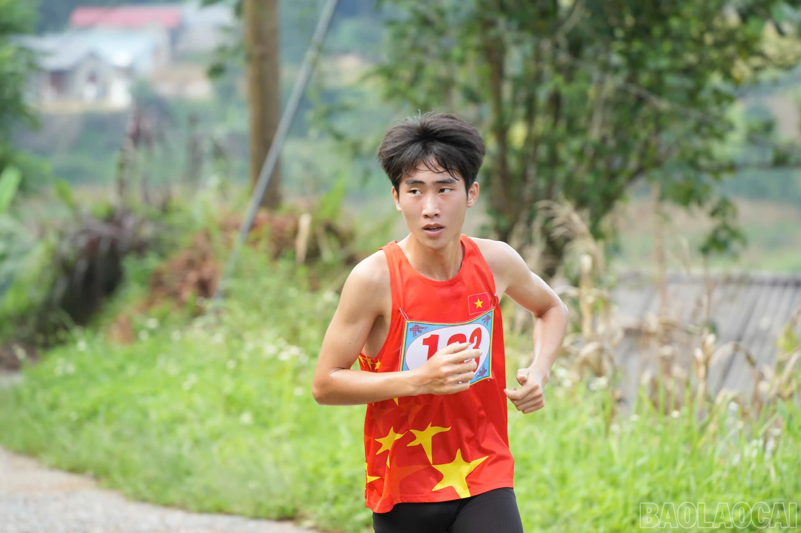 baolaocai-br_chaychay-6.jpg