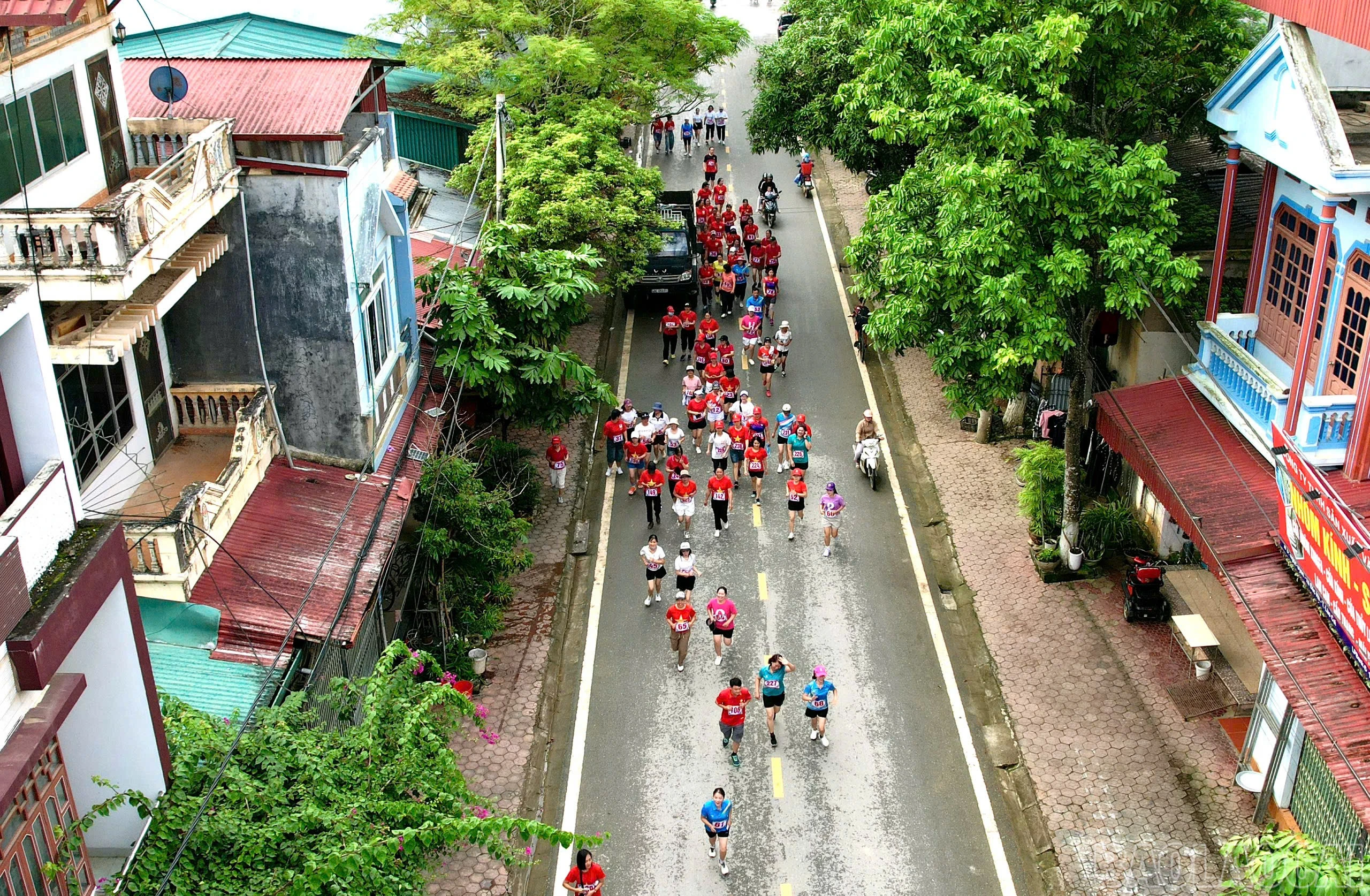 baolaocai-br_chy-1.jpg