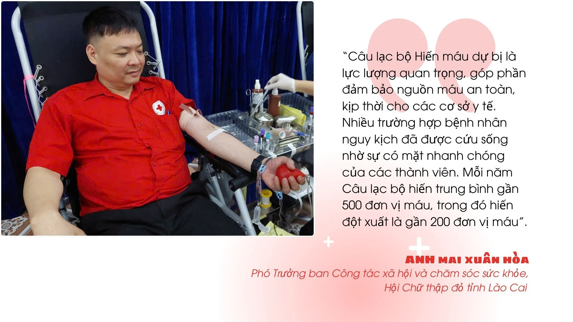 hin-mau-1.jpg