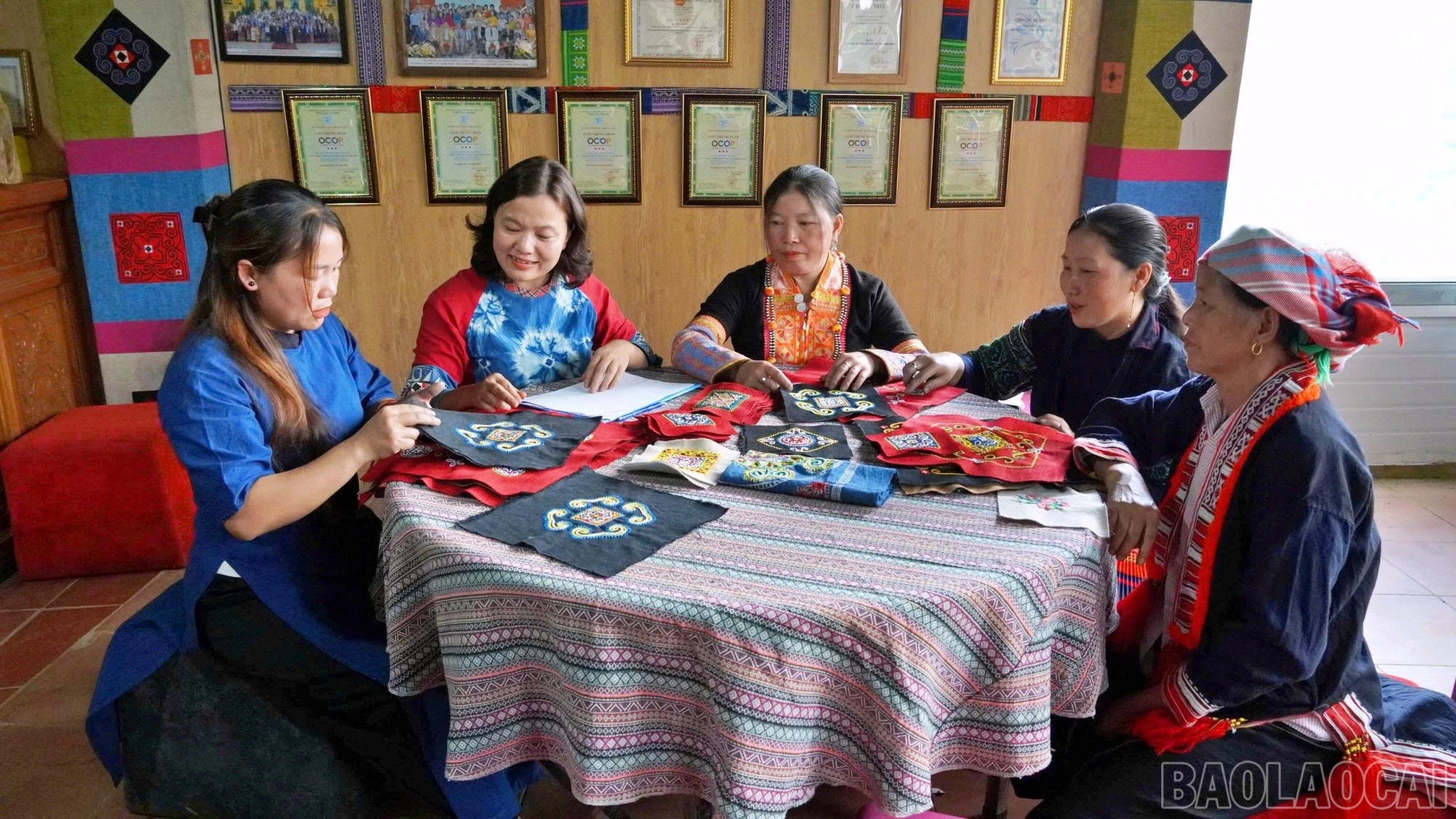 baolaocai-br_thu-hut.jpg