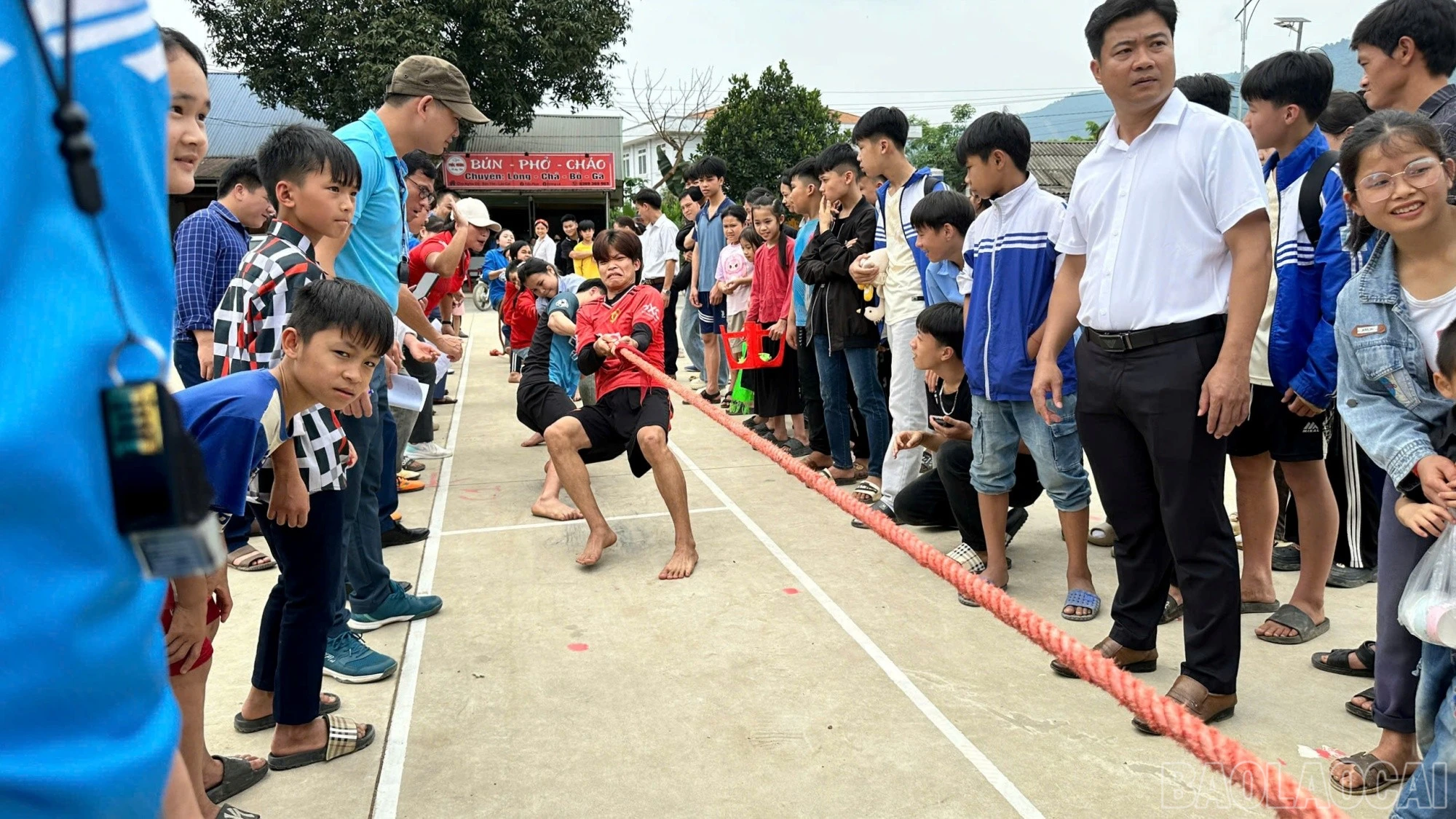 baolaocai-br_vh292.jpg