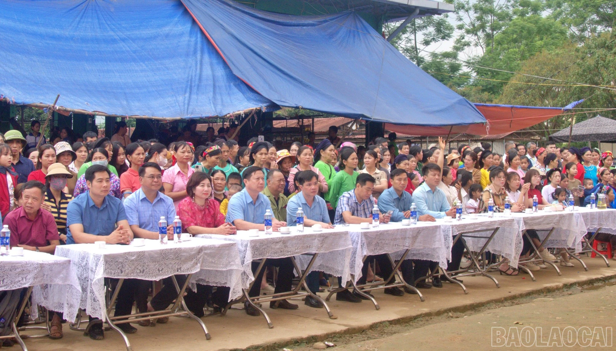baolaocai-br_dai-bieu.jpg