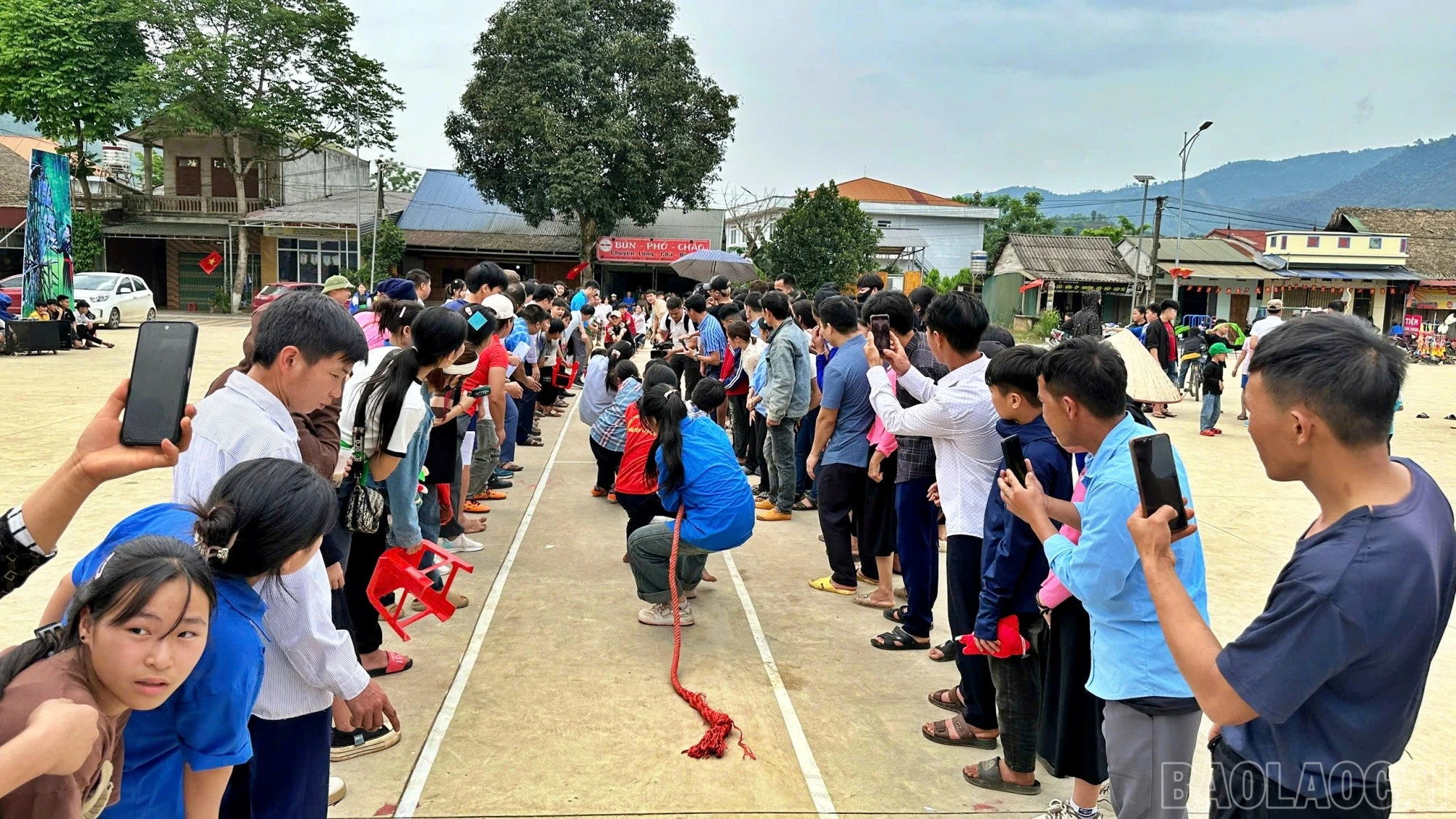 baolaocai-br_vh293.jpg