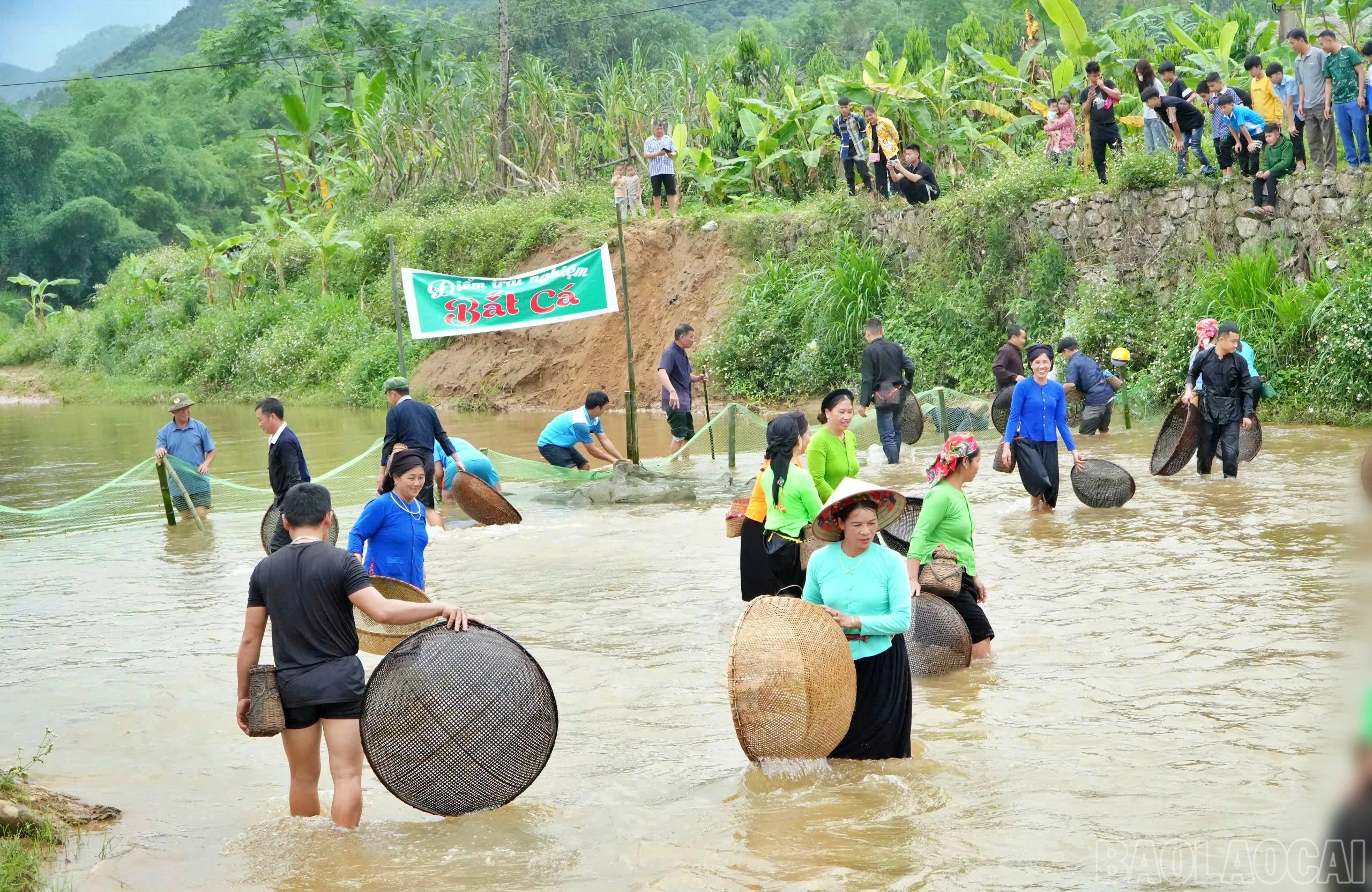 baolaocai-br_ca8.jpg
