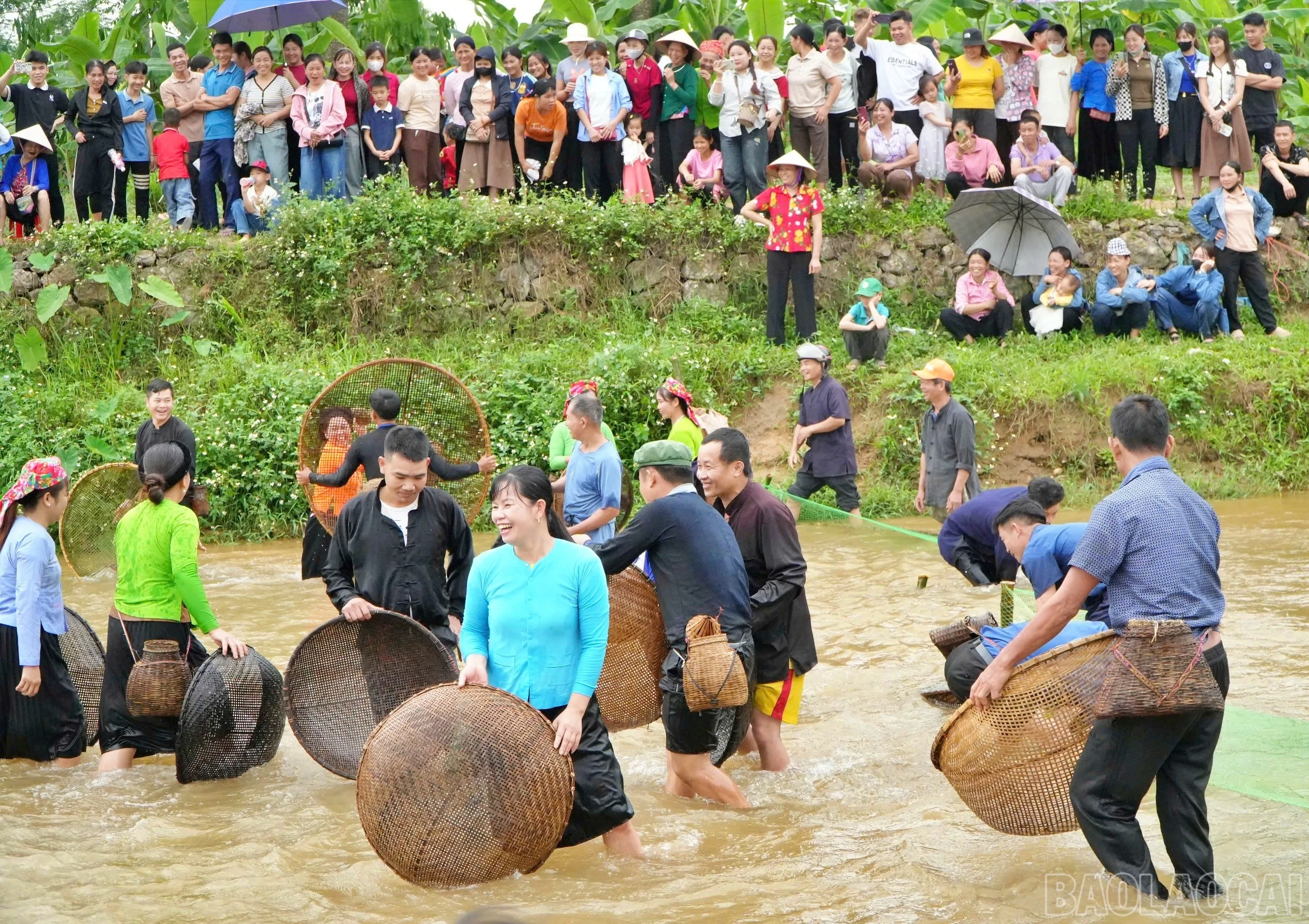 baolaocai-br_ca6.jpg