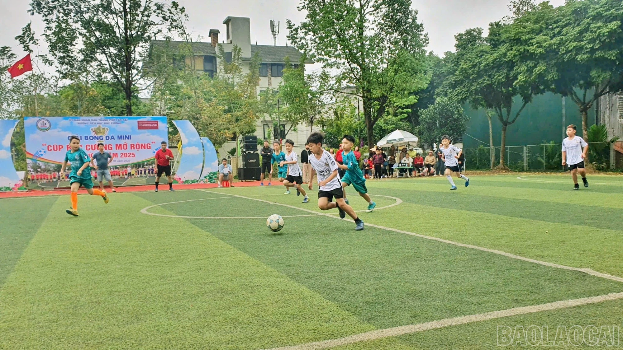 baolaocai-br_bc3.jpg