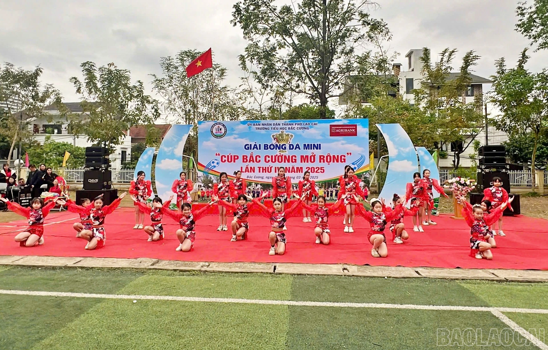 baolaocai-br_bc7-bm.jpg
