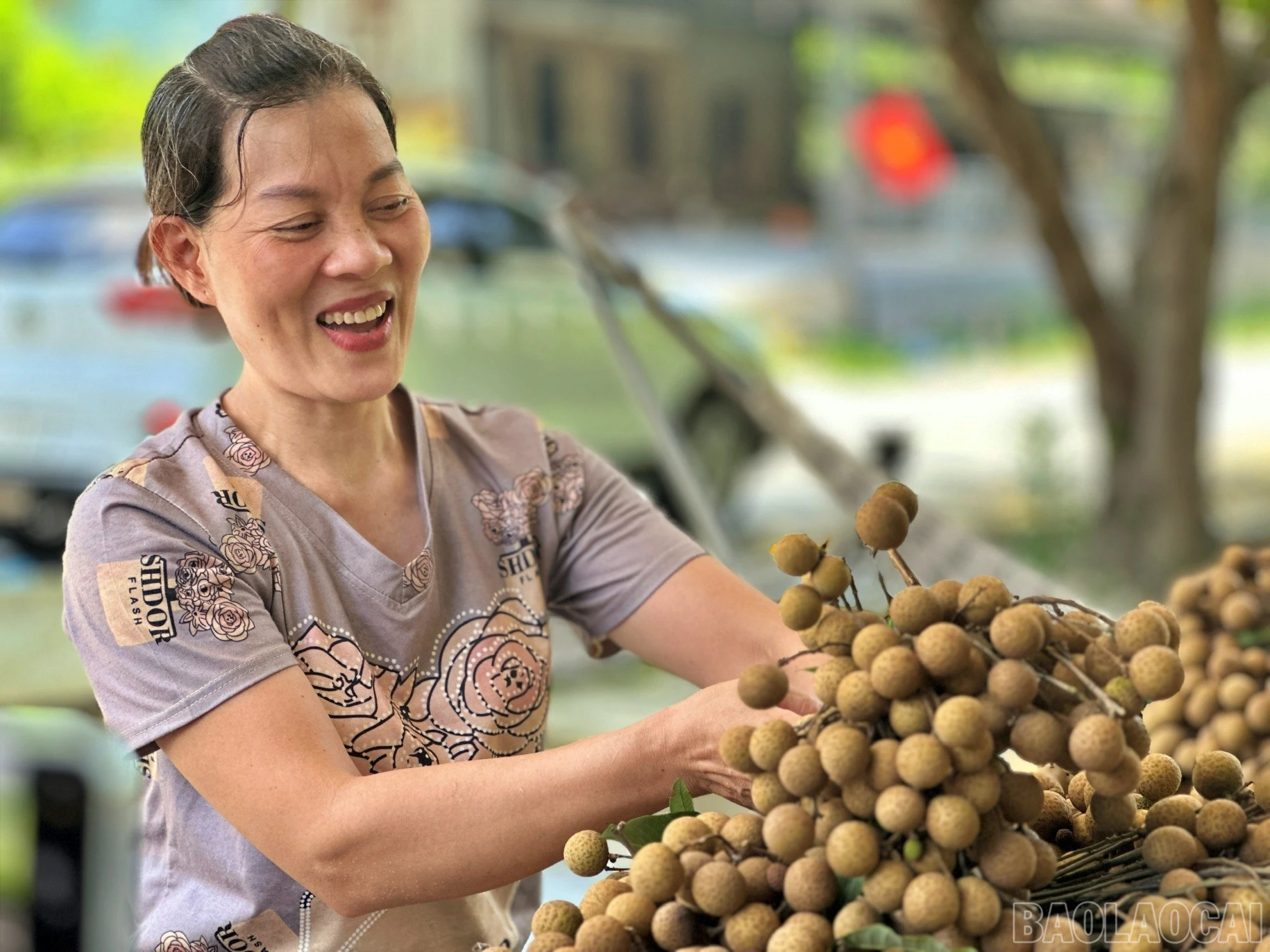 baolaocai-br_chum-qua-8.jpg
