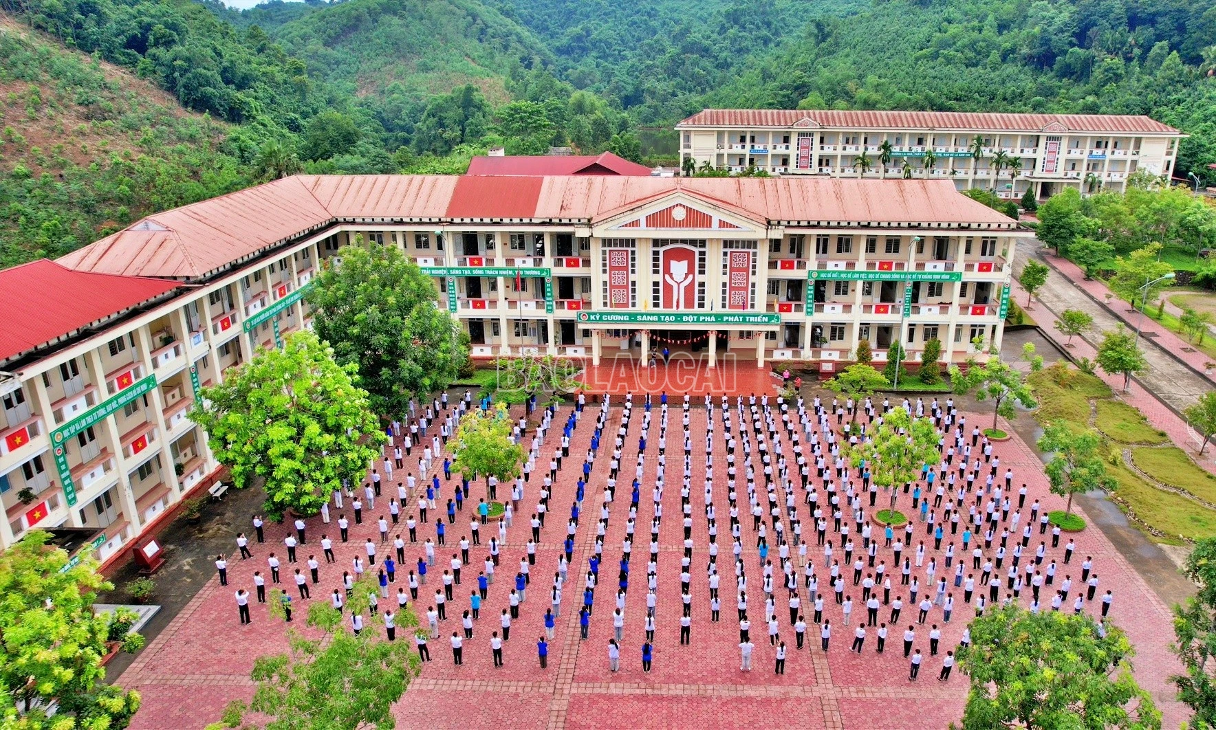 baolaocai-c_noi4.jpg