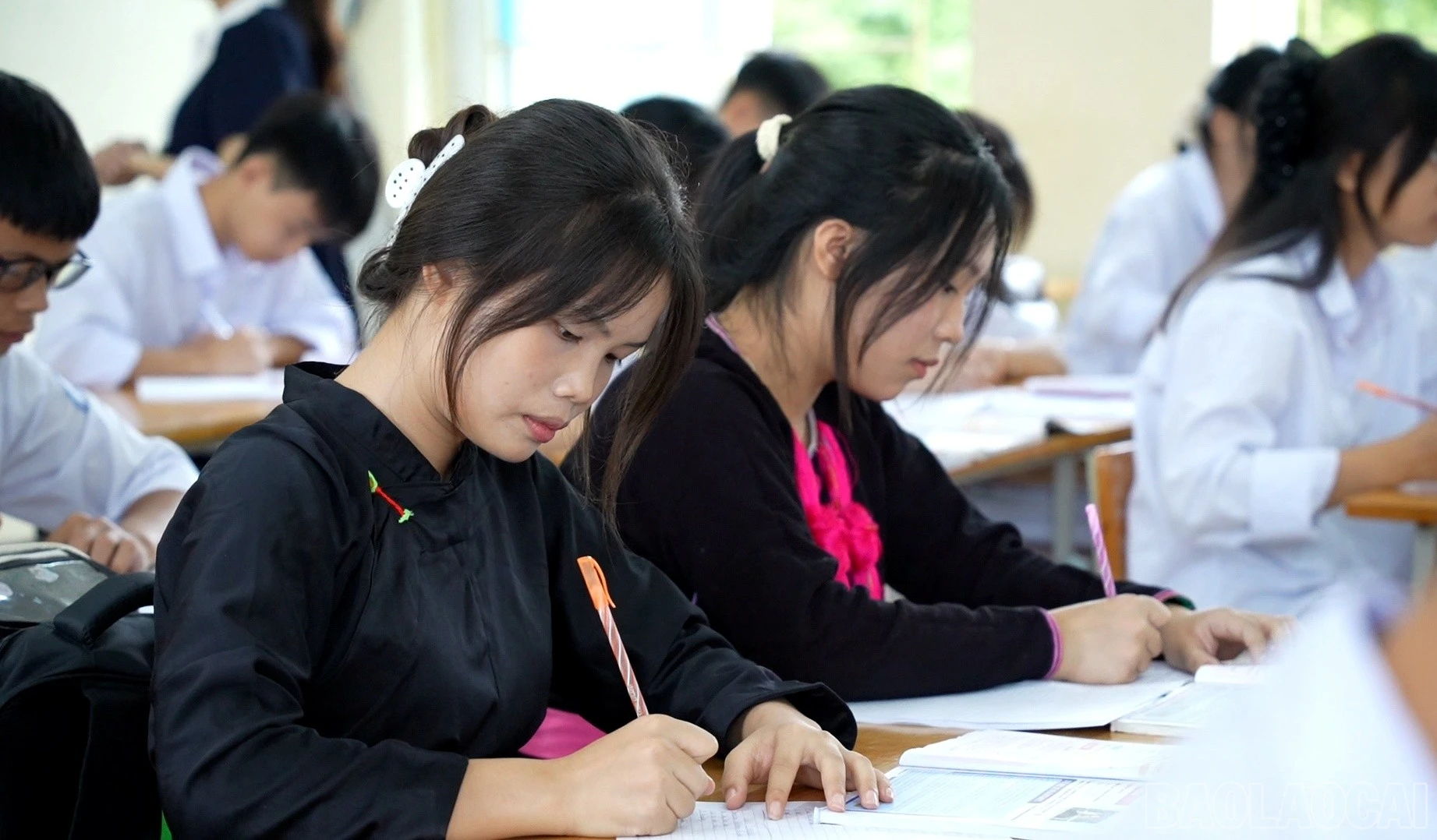 baolaocai-br_noi.jpg