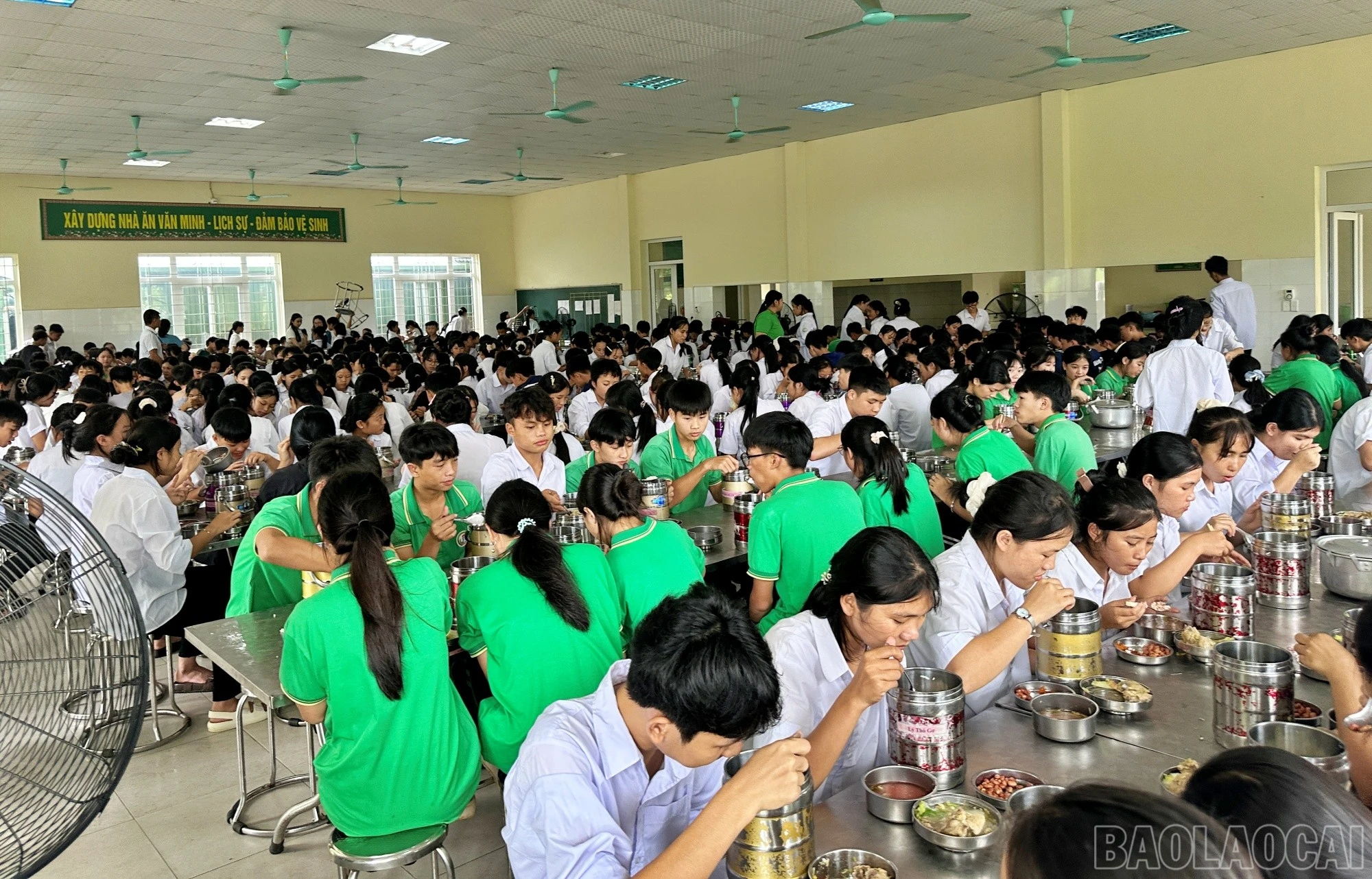 baolaocai-br_noi8.jpg