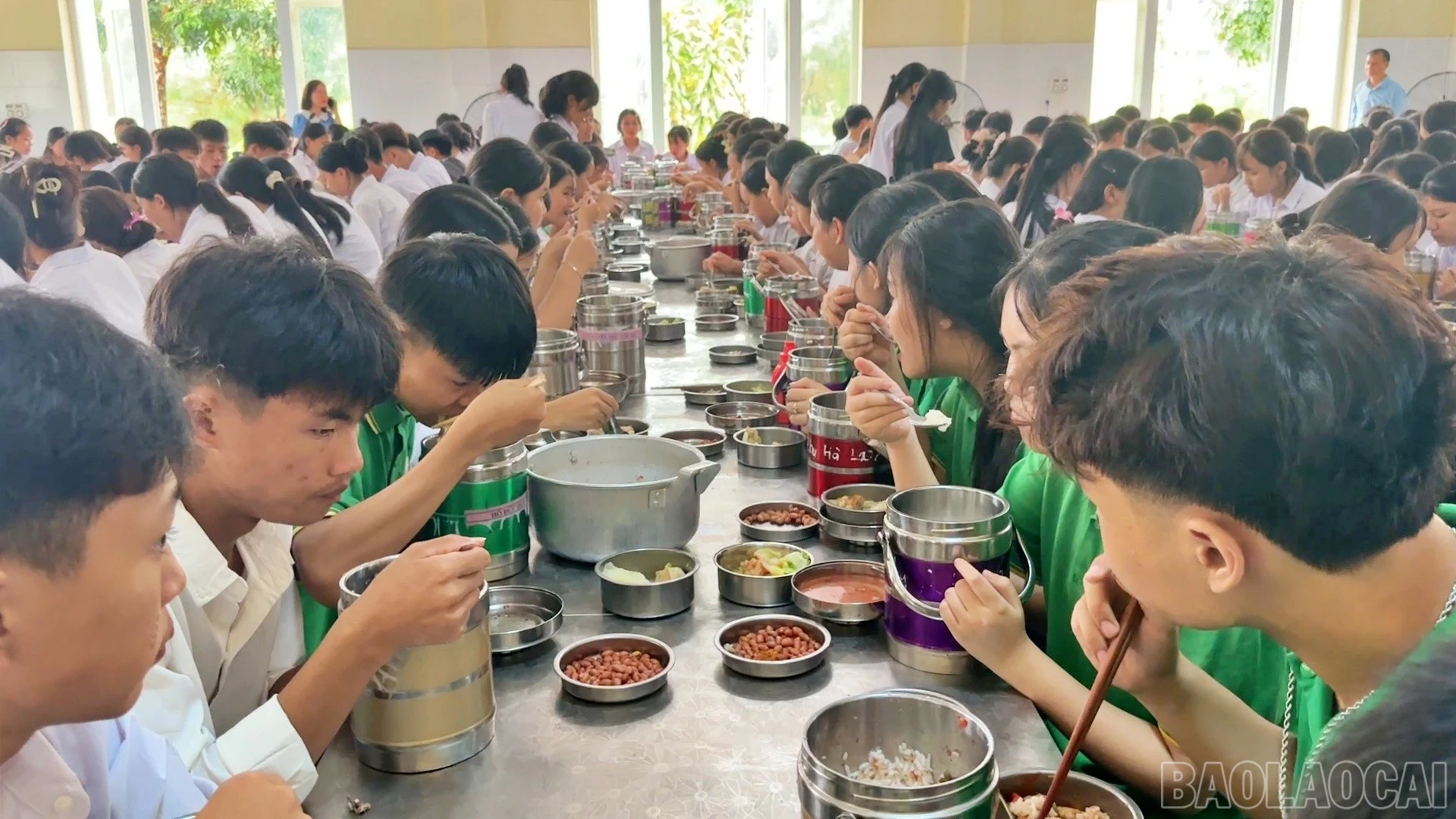 baolaocai-br_noi90.jpg